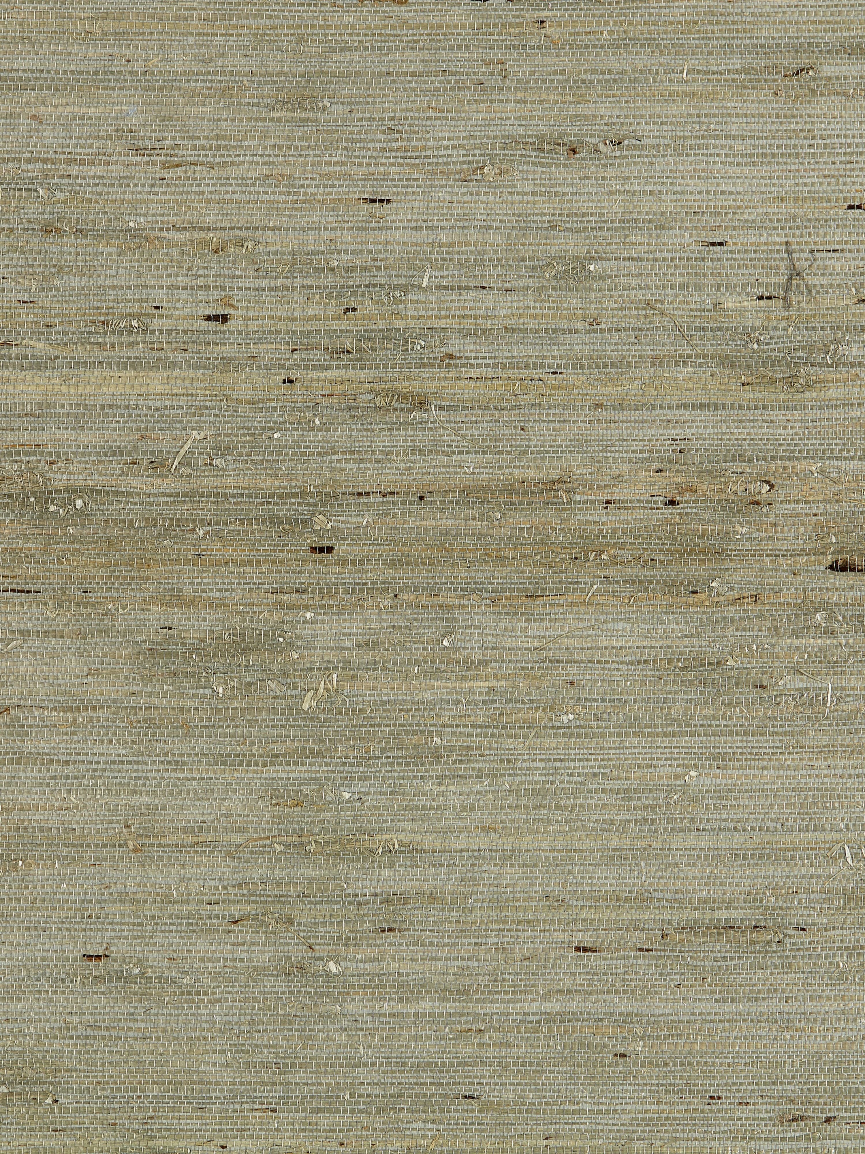 Arrowroot Weave wallpaper in water color - pattern number SC 0004WP88344 - by Scalamandre in the collection