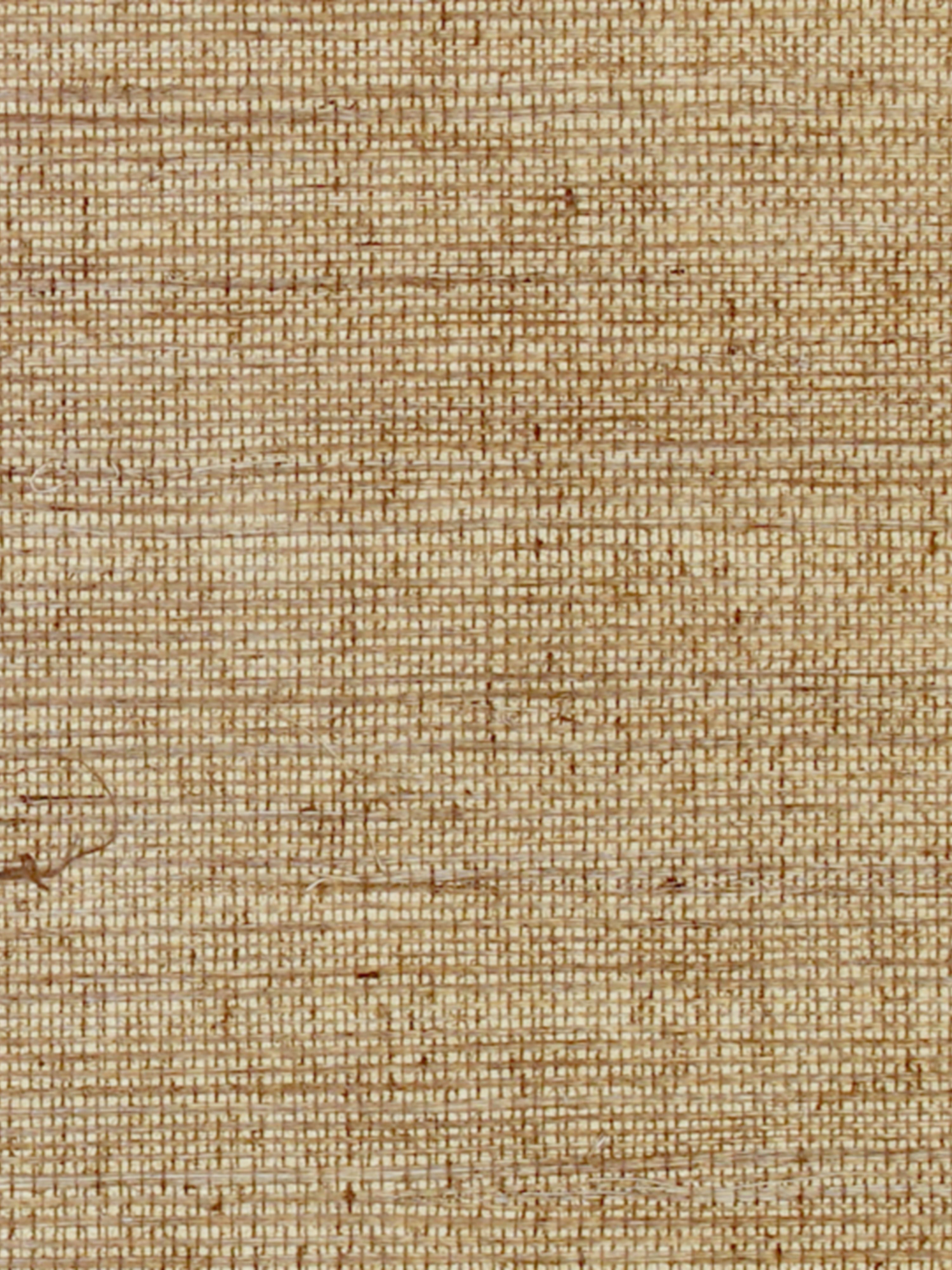 Sisal wallpaper in sequoia color - pattern number SC 0005G1193 - by Scalamandre in the collection