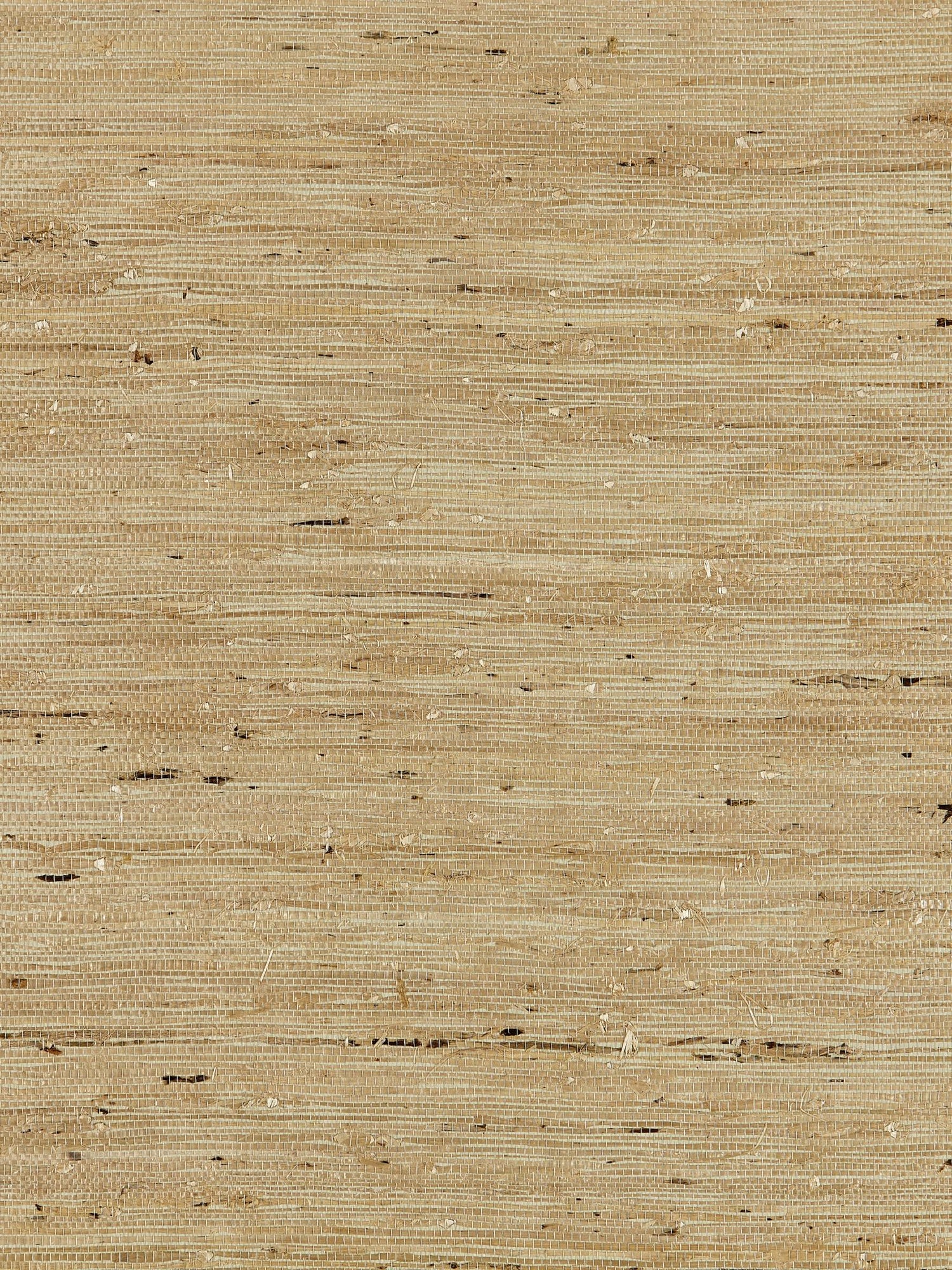Arrowroot Weave fabric in sage color - pattern number SC 0005WP88344 - by Scalamandre in the  collection