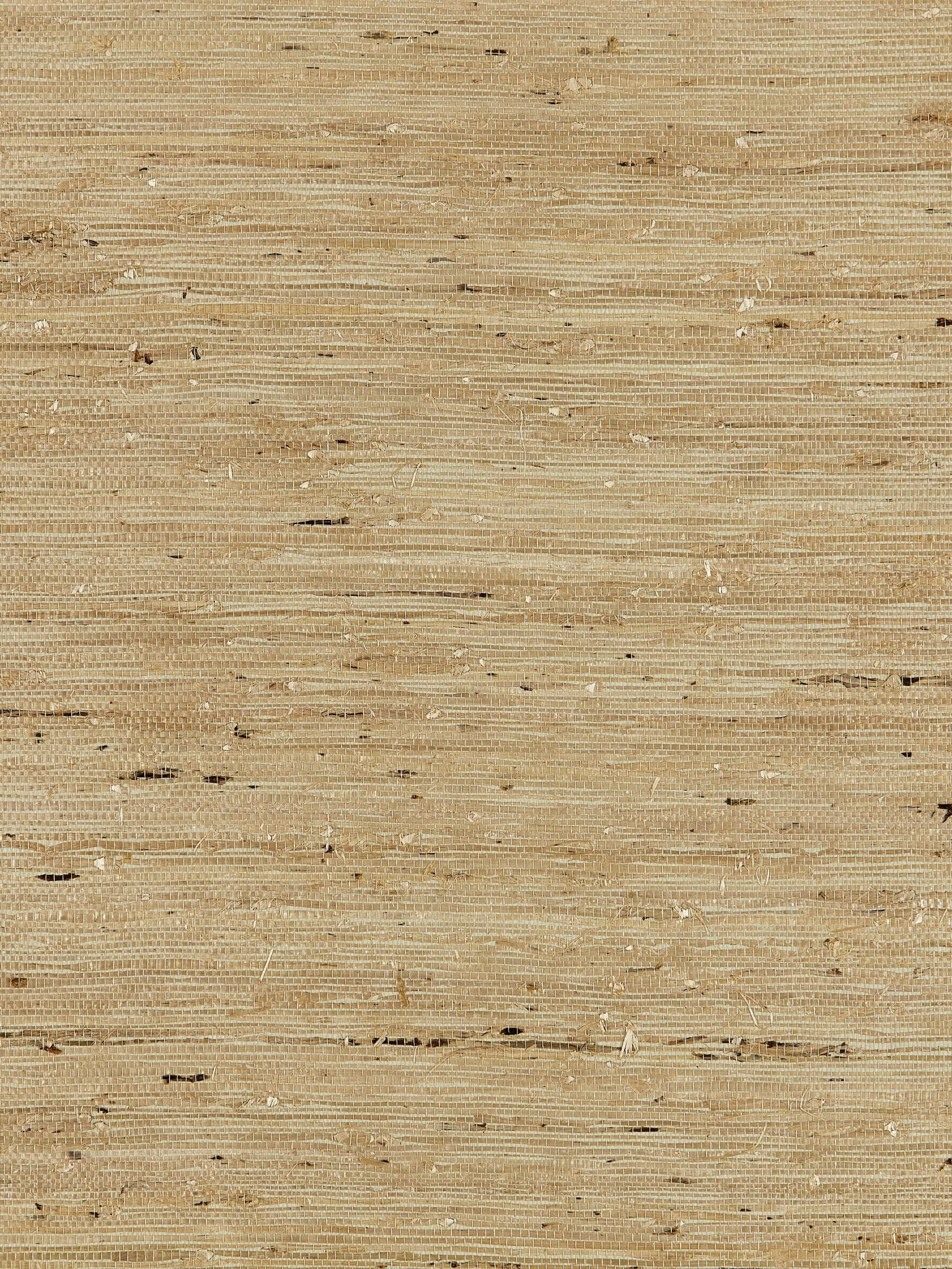 Arrowroot Weave fabric in sage color - pattern number SC 0005WP88344 - by Scalamandre in the  collection