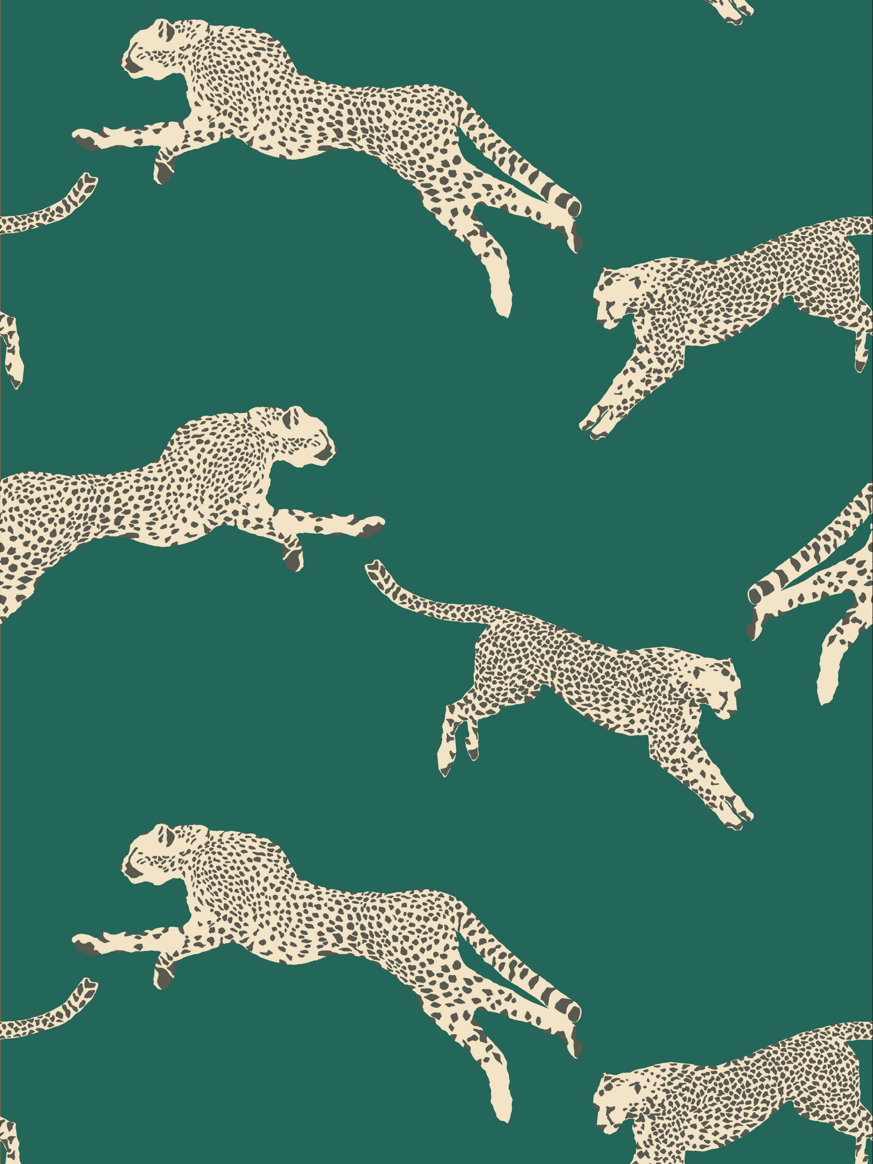 Leaping Cheetah wallpaper in evergreen color - pattern number SC 0005WP88449D - by Scalamandre in the collection