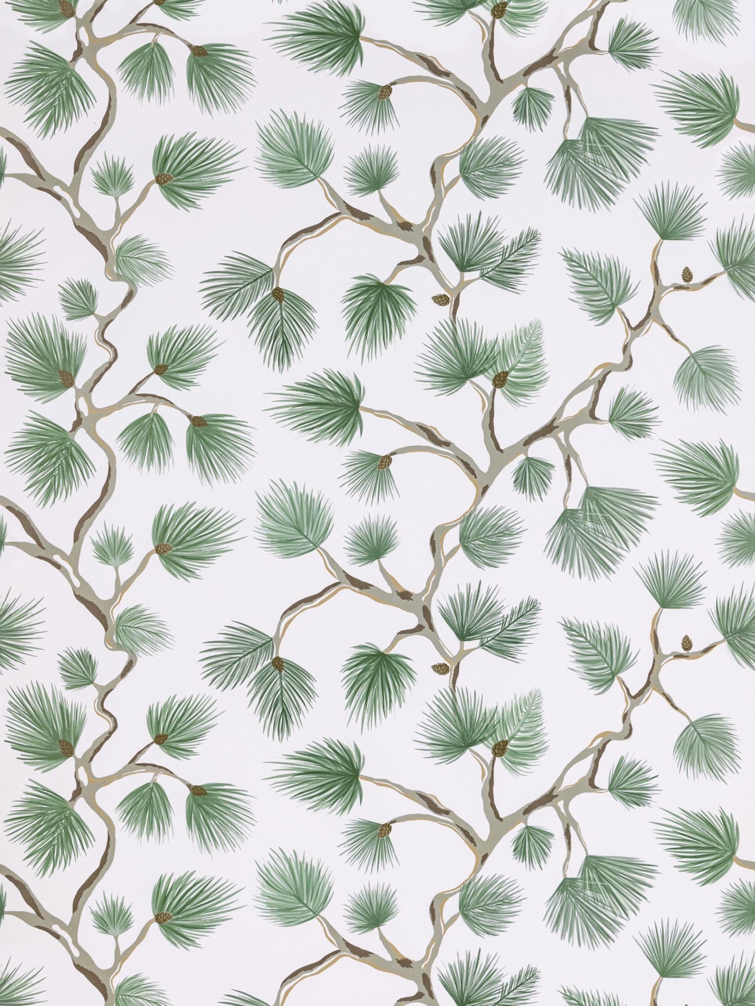 Pignoli fabric in fern color - pattern number SC 0005WP88593D - by Scalamandre in the collection