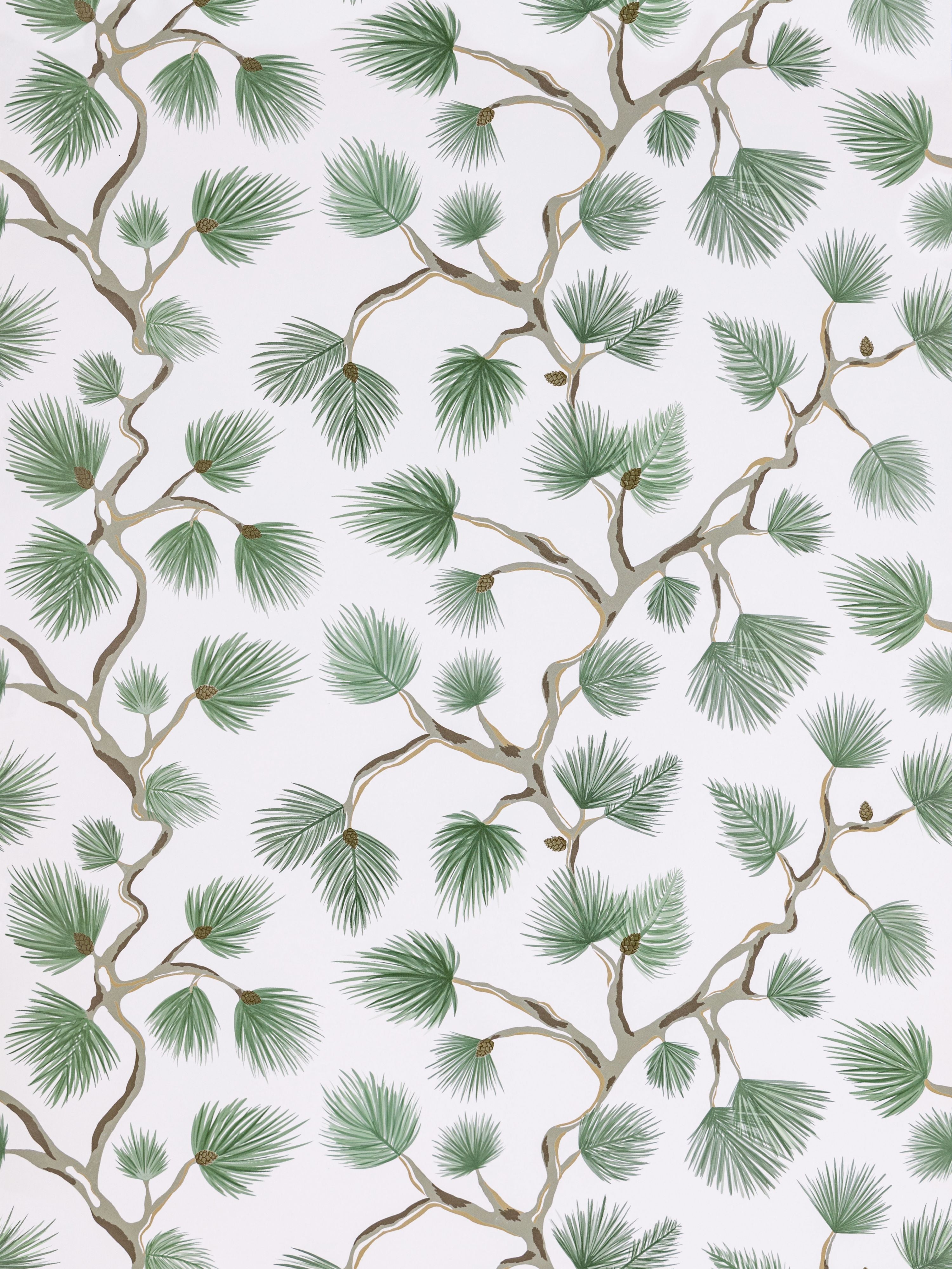 Pignoli wallpaper in fern color - pattern number SC 0005WP88593D - by Scalamandre in the collection