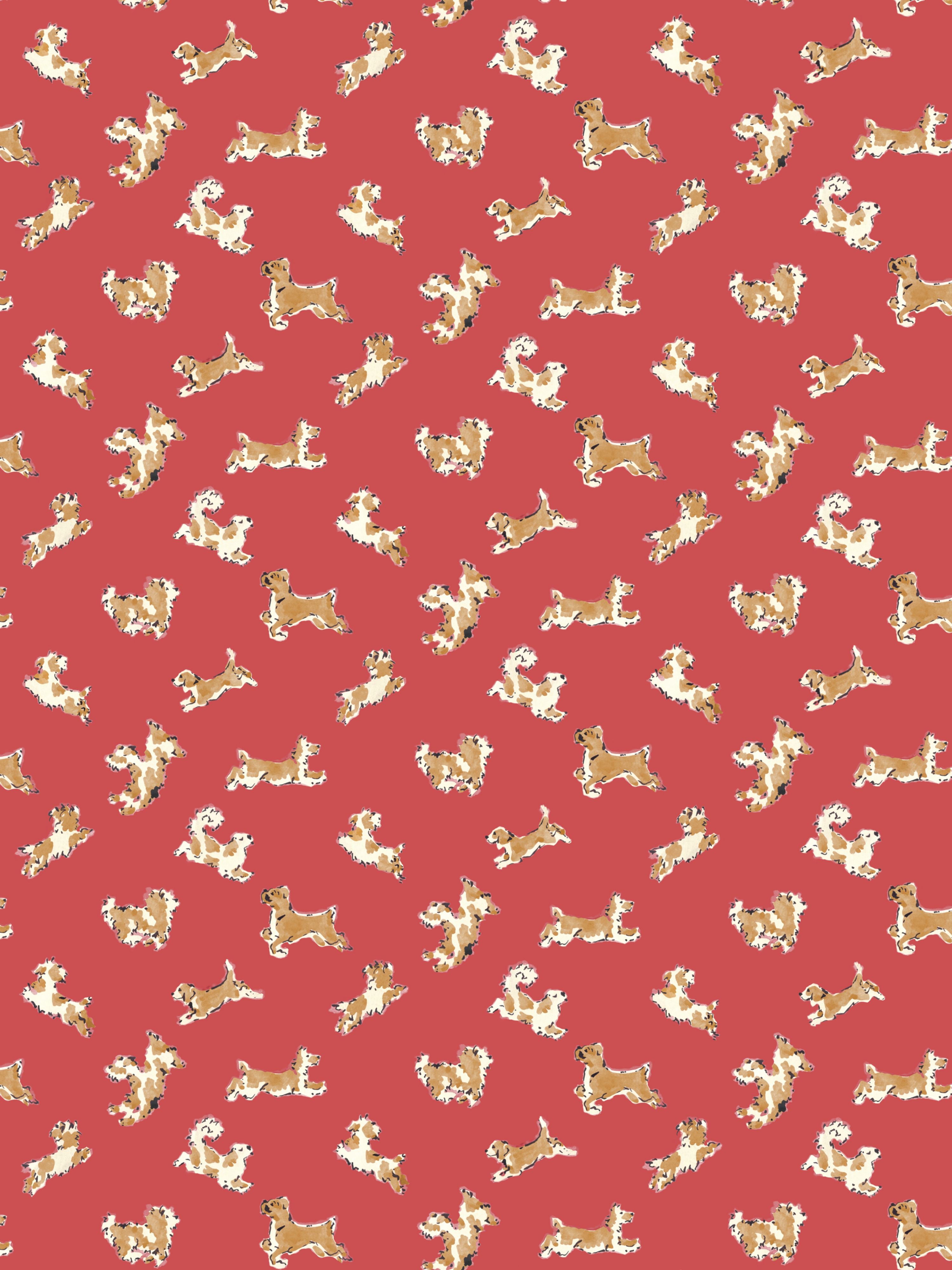 Fete De Chien wallpaper in chili pepper and tawny color - pattern number SC WP88183D0006 - by Scalamandre in the collection