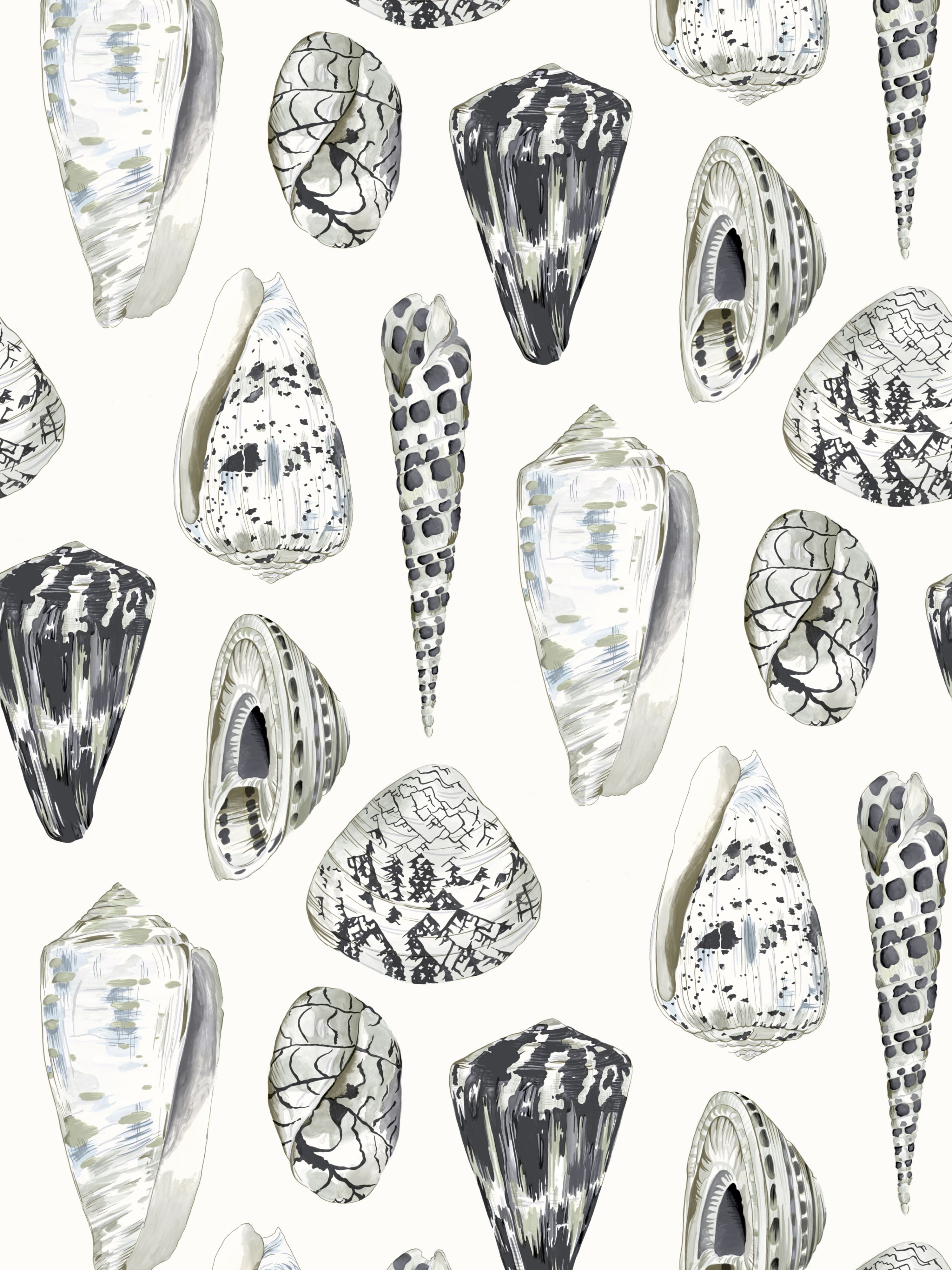 Coquina wallpaper in graphite color - pattern number SC 0006WP88365 - by Scalamandre in the collection