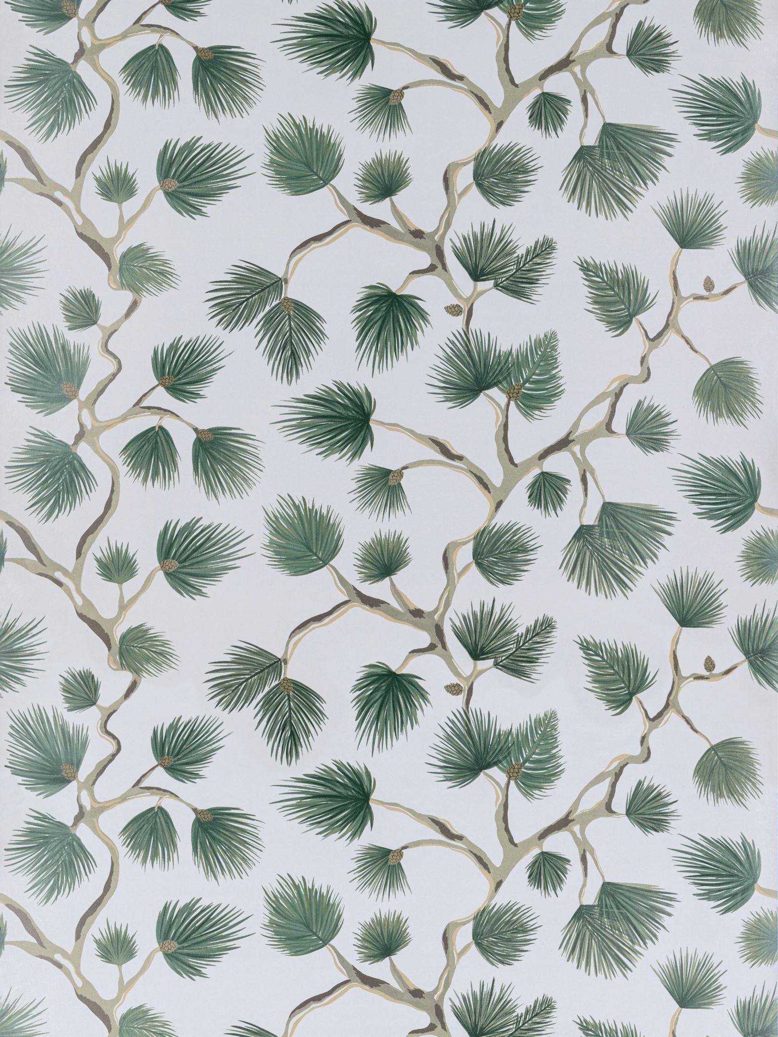 Pignoli fabric in evergreen color - pattern number SC 0006WP88593D - by Scalamandre in the collection