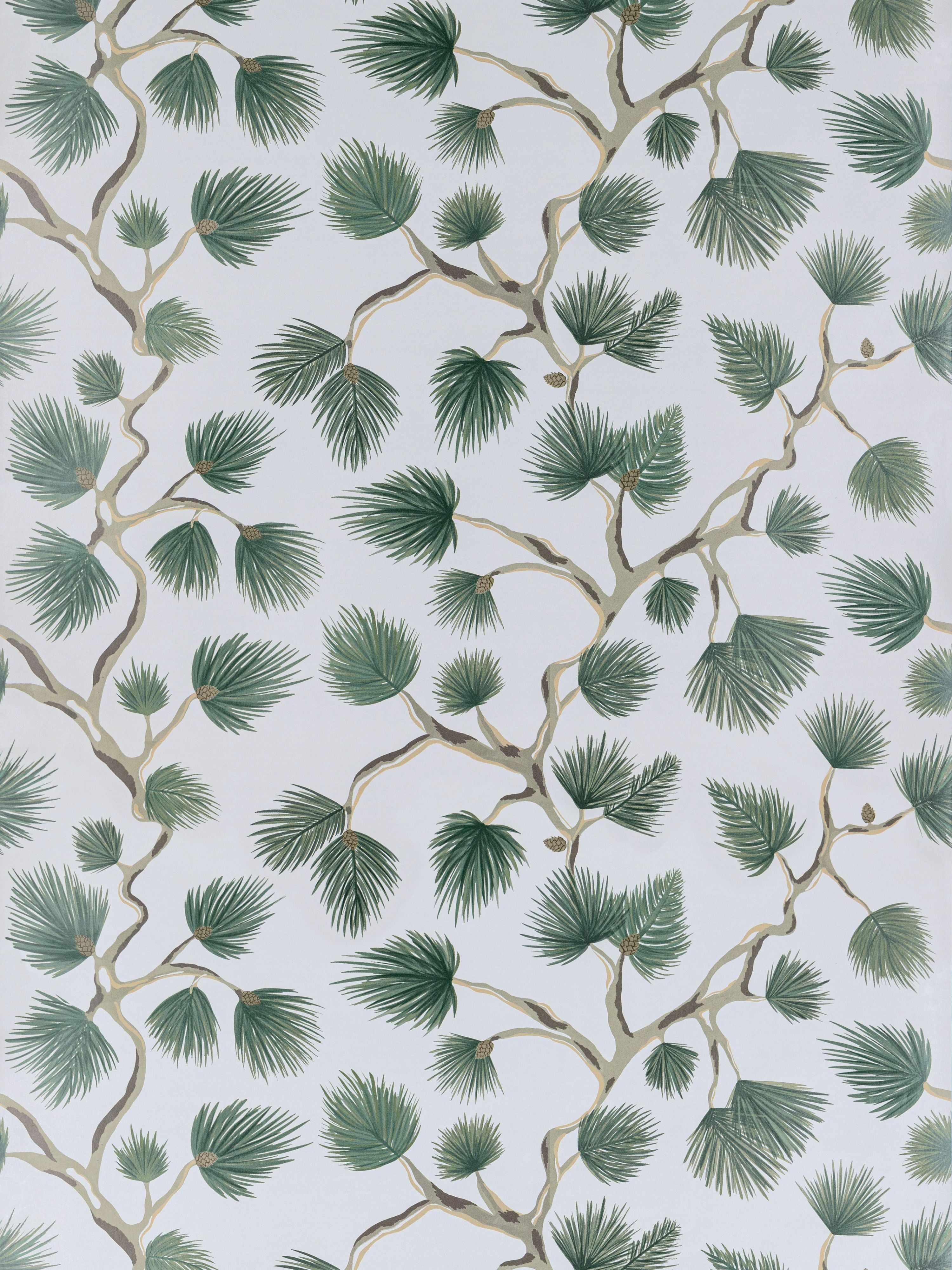 Pignoli wallpaper in evergreen color - pattern number SC 0006WP88593D - by Scalamandre in the collection
