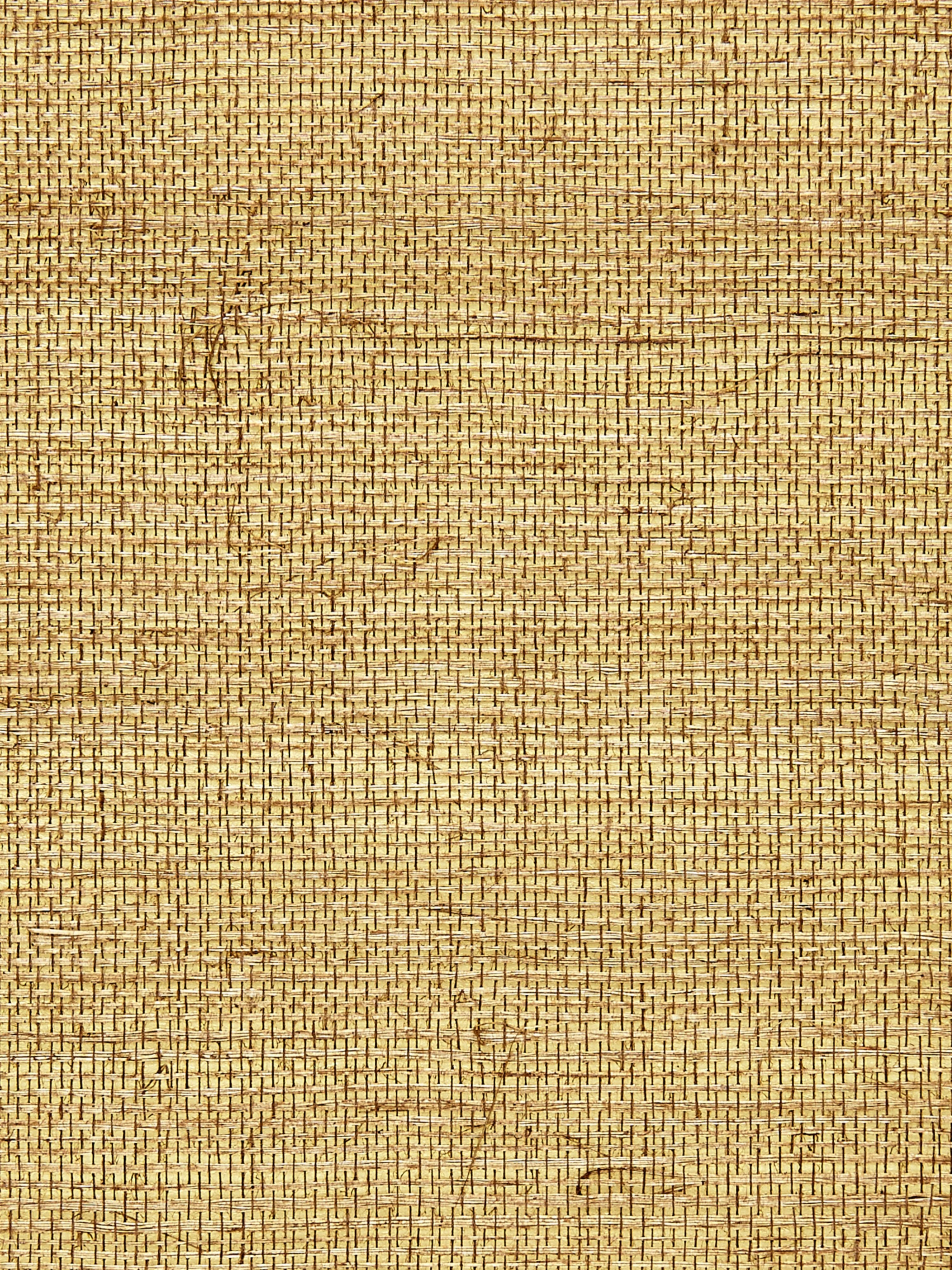 Sisal Metallic wallpaper in burnished gold color - pattern number SC 0007G1194 - by Scalamandre in the collection