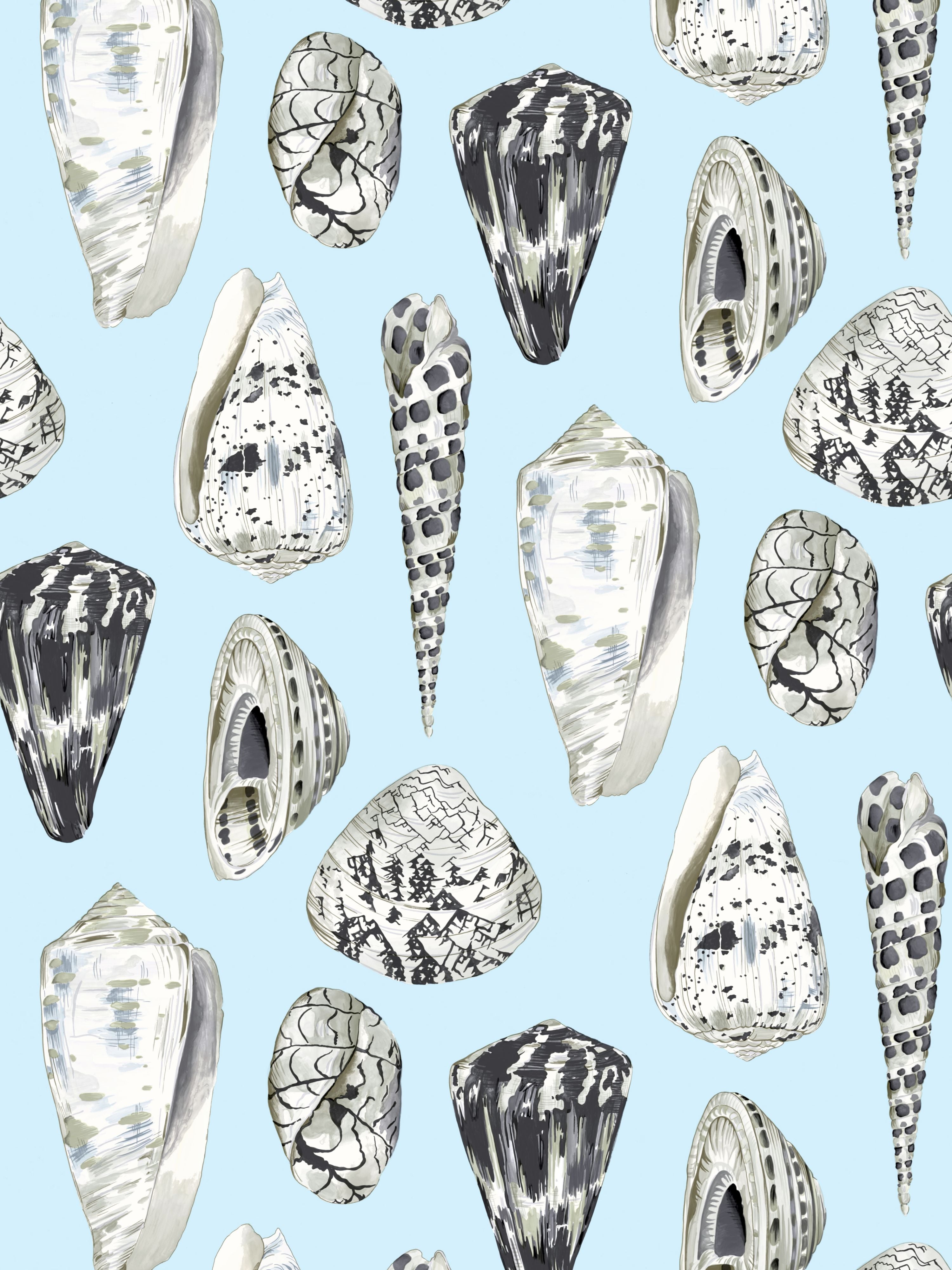 Coquina wallpaper in capri color - pattern number SC 0008WP88365 - by Scalamandre in the collection
