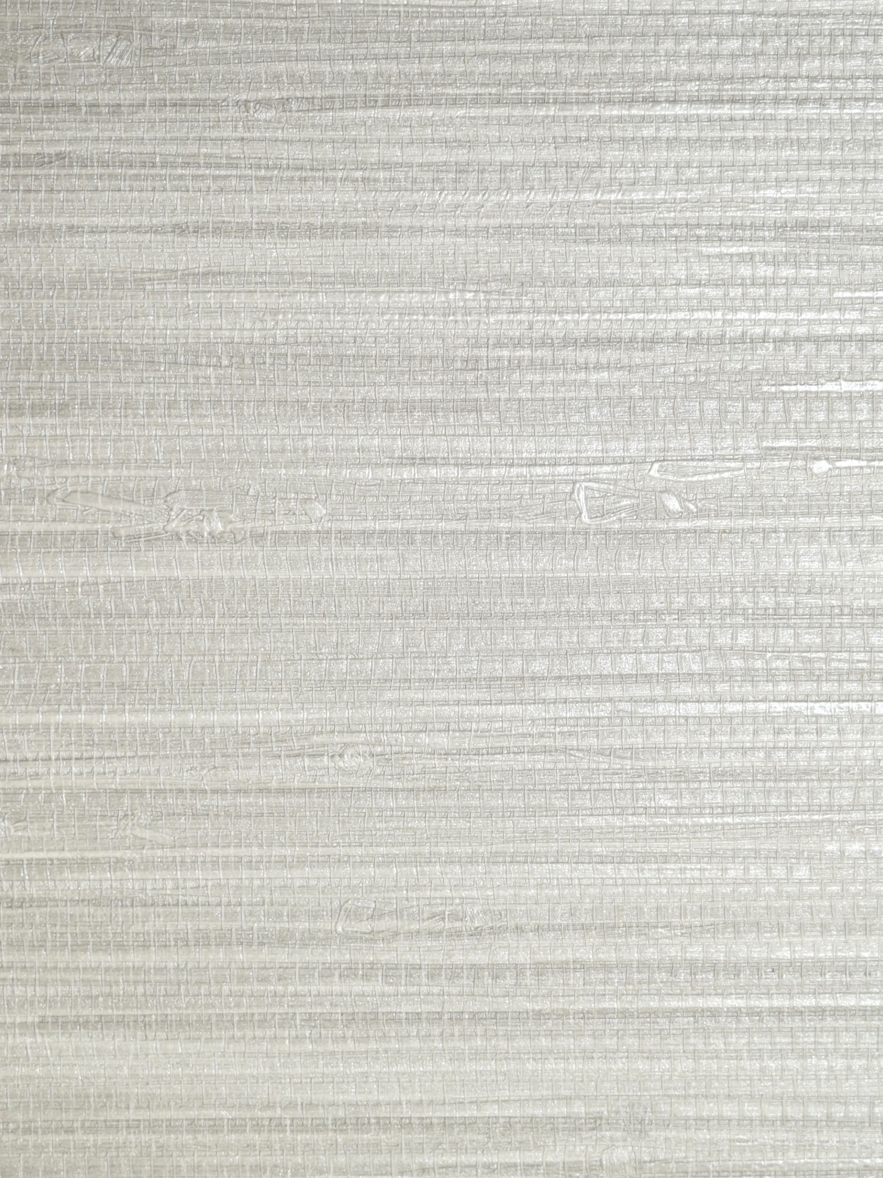 Pampas wallpaper in silver color - pattern number SC 0008WP88438 - by Scalamandre in the collection