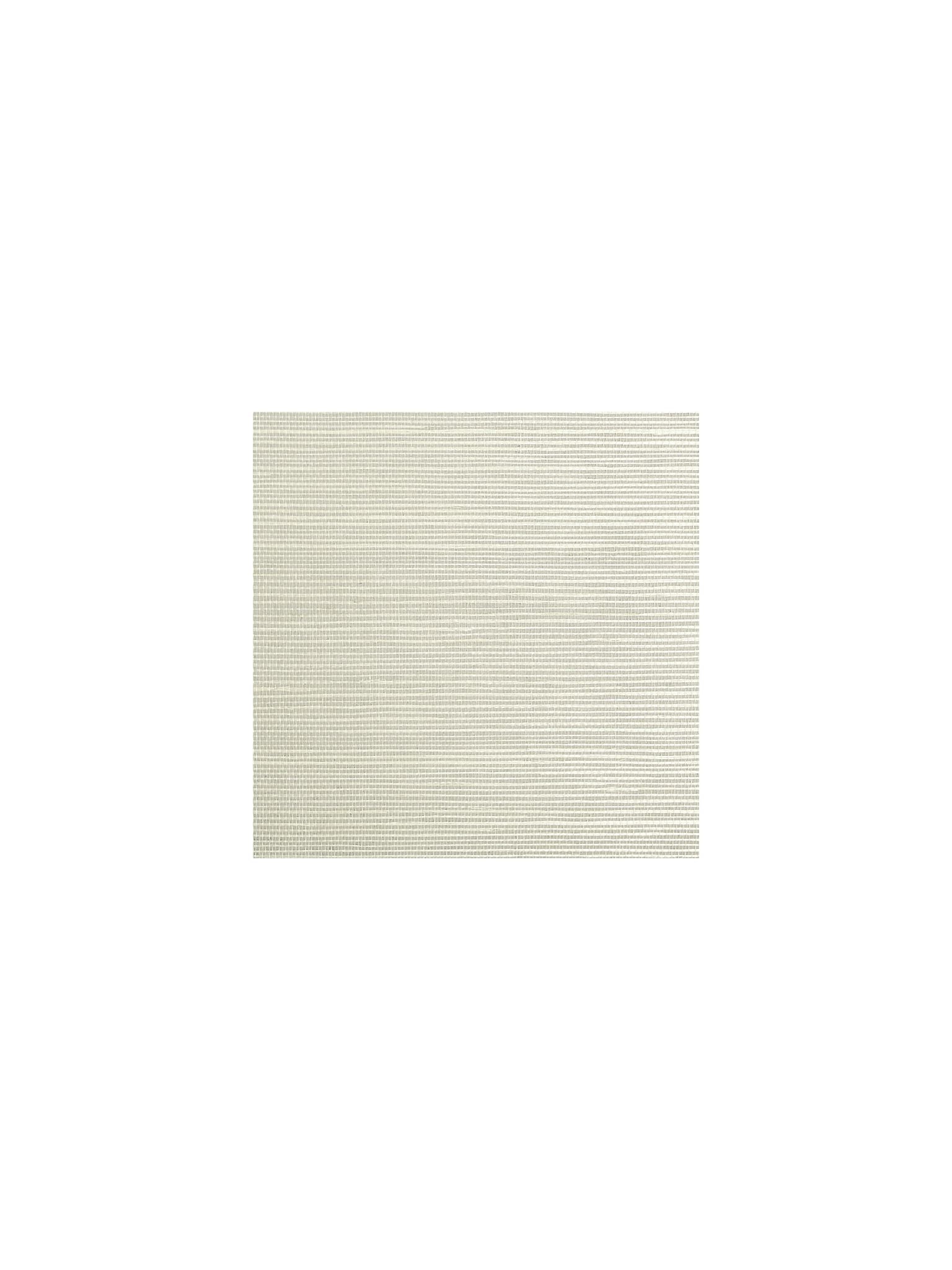 Sisal fabric in pewter color - pattern number SC 0009G1193 - by Scalamandre in the collection