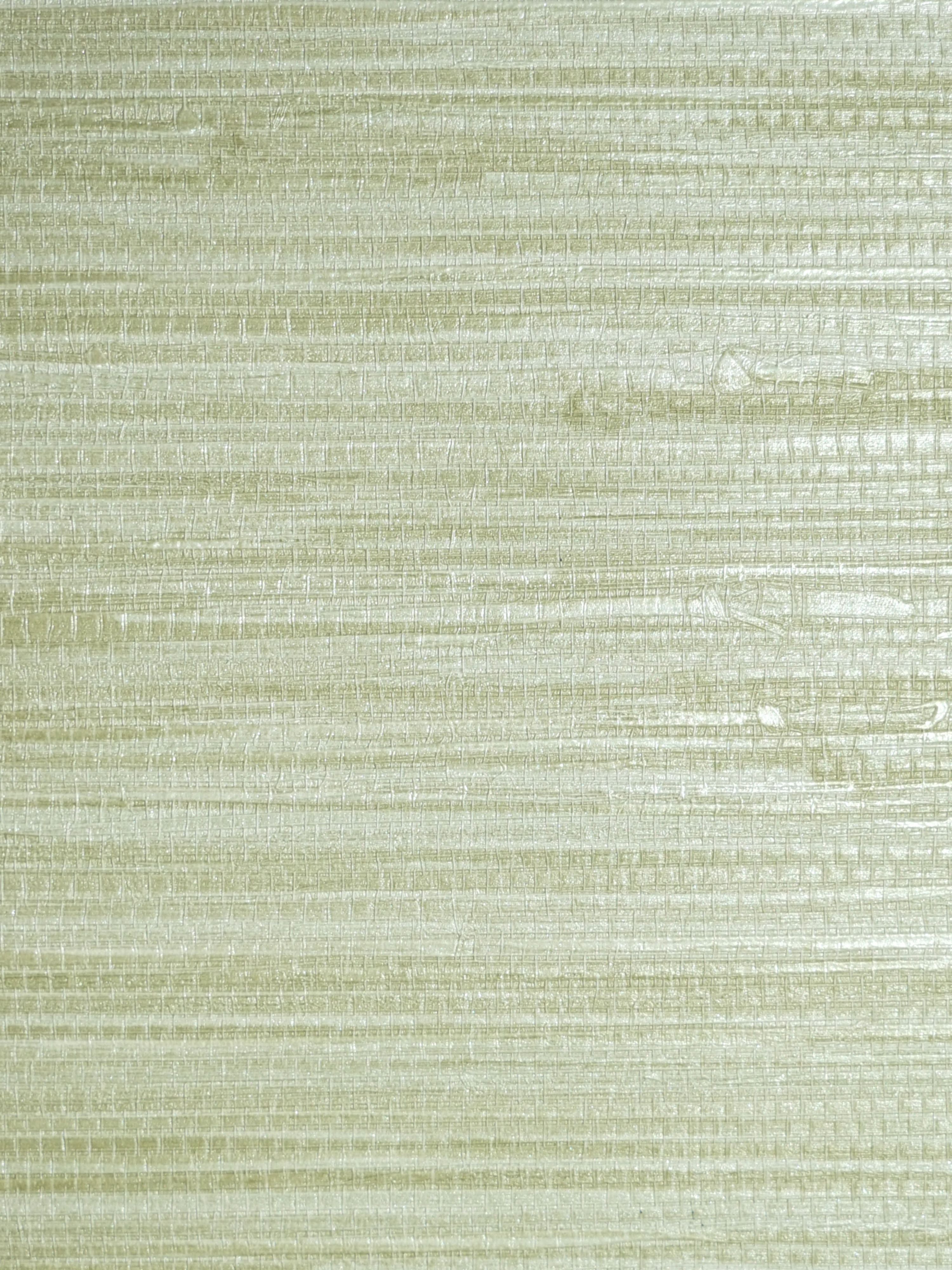 Pampas wallpaper in seagrass color - pattern number SC 0014WP88438 - by Scalamandre in the collection
