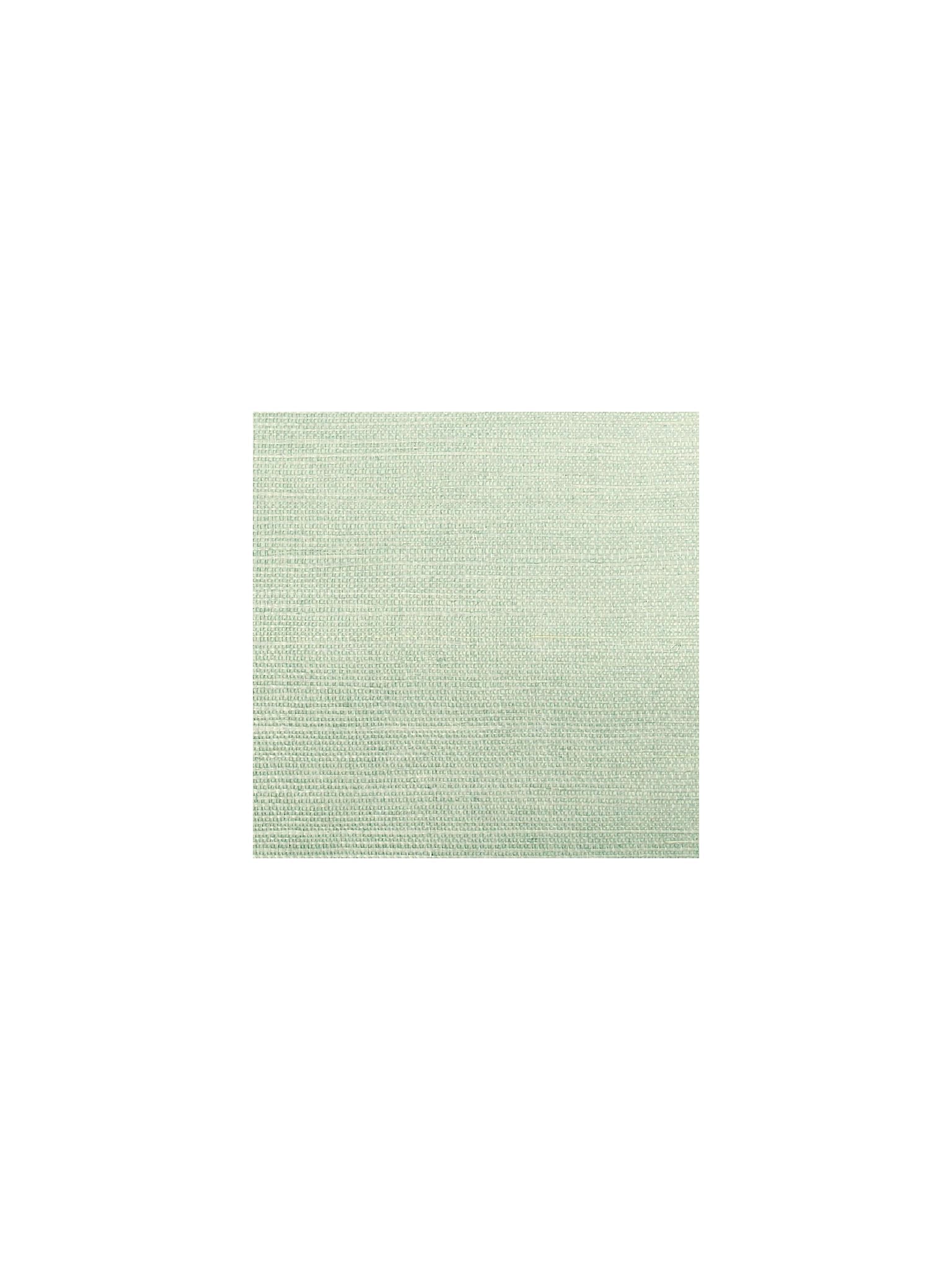Sisal fabric in cottage color - pattern number SC 0015G1193 - by Scalamandre in the collection