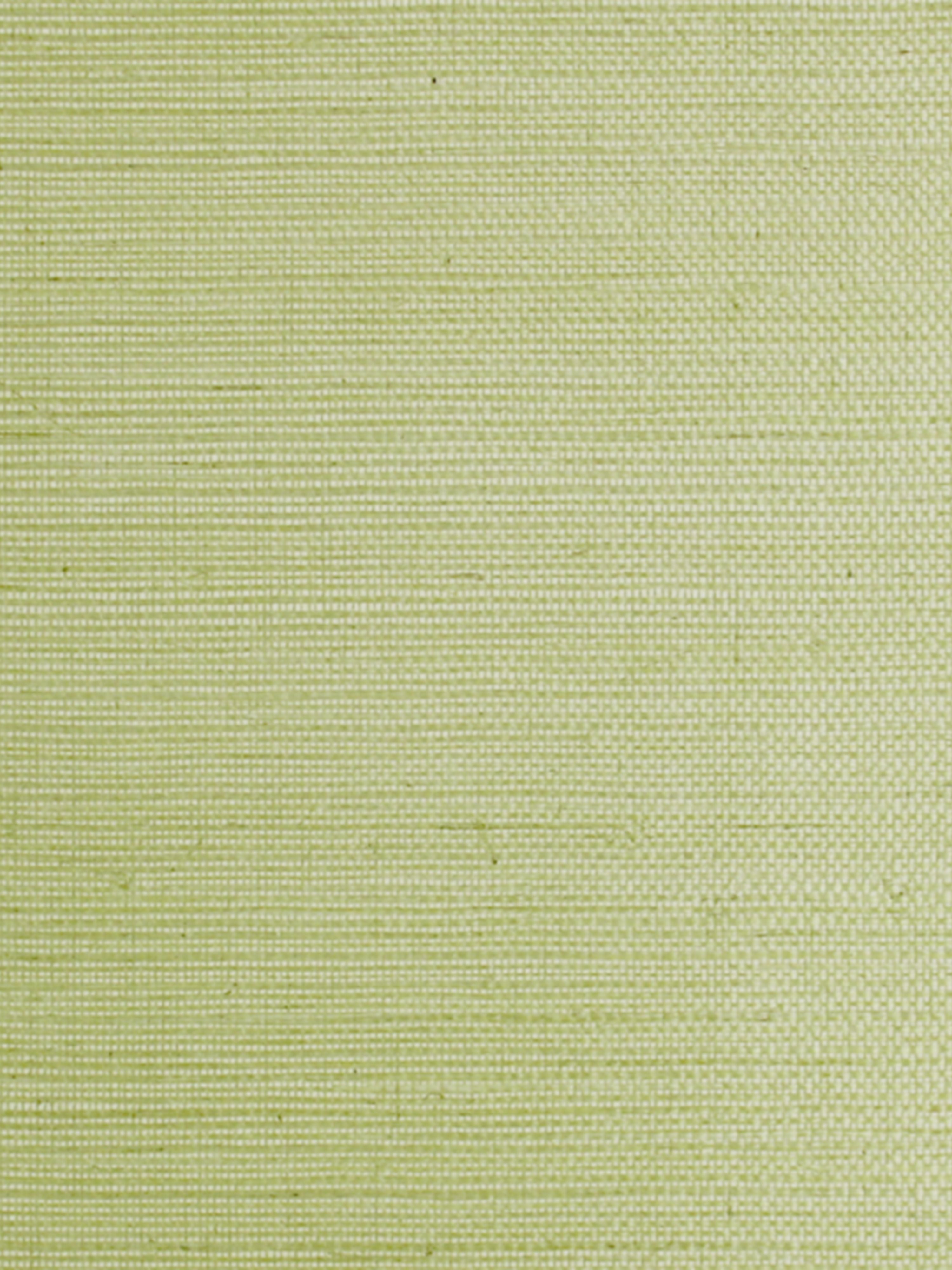 Sisal wallpaper in leaf color - pattern number SC 0018G1193 - by Scalamandre in the collection