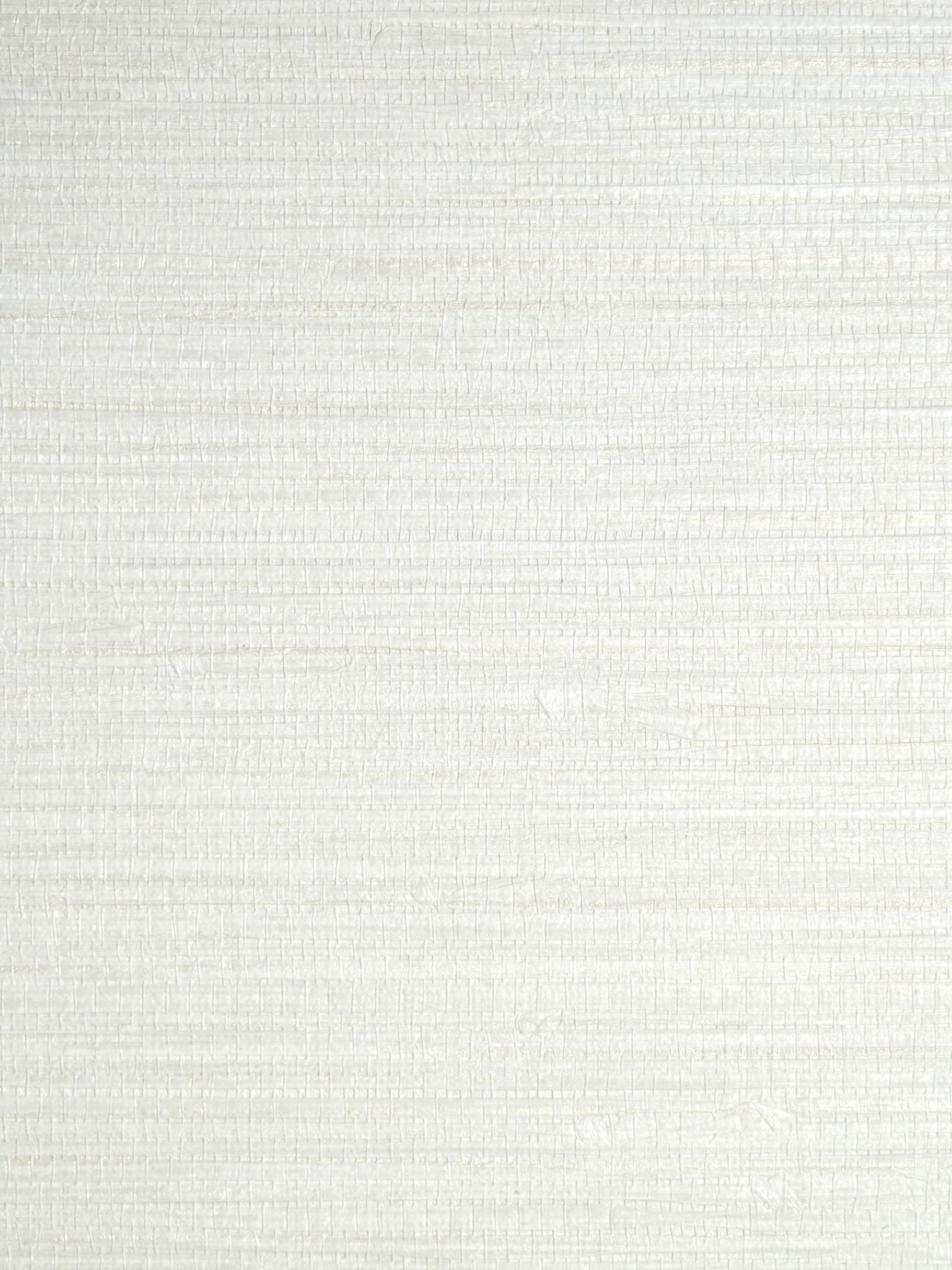 Feather Reed fabric in moonbeam color - pattern number SC 0021WP88437 - by Scalamandre in the collection