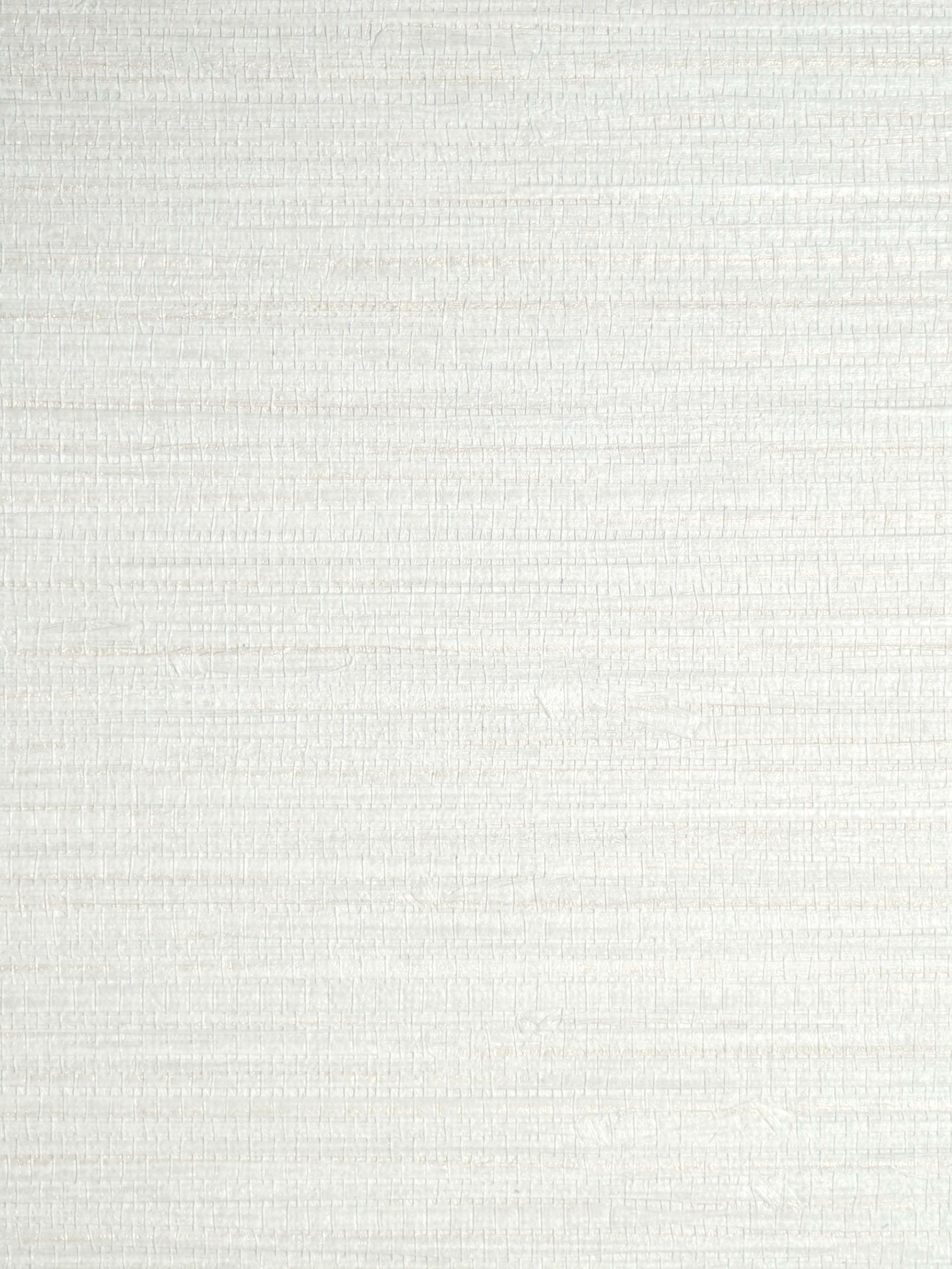 Feather Reed wallpaper in moonbeam color - pattern number SC 0021WP88437 - by Scalamandre in the collection