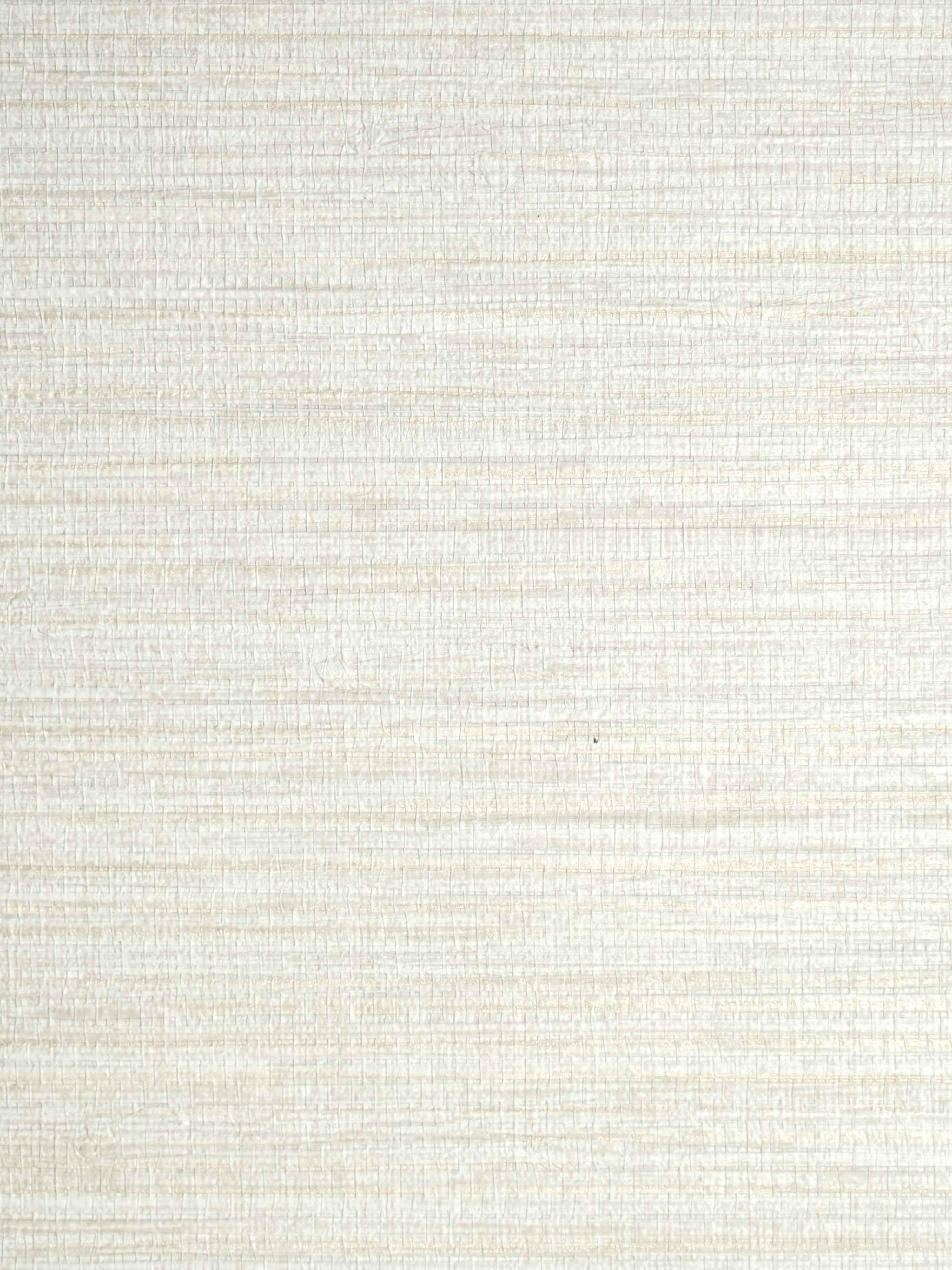 Feather Reed wallpaper in travertine color - pattern number SC 0038WP88437 - by Scalamandre in the collection