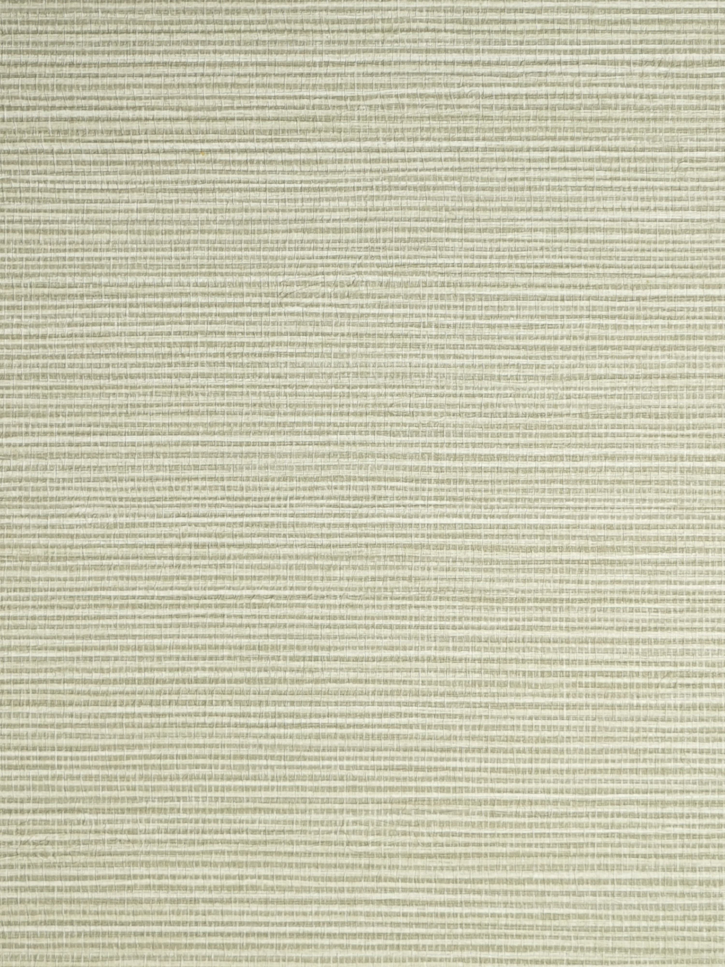 Savanna Seedling wallpaper in seagrass color - pattern number SC 0054WP88442 - by Scalamandre in the collection