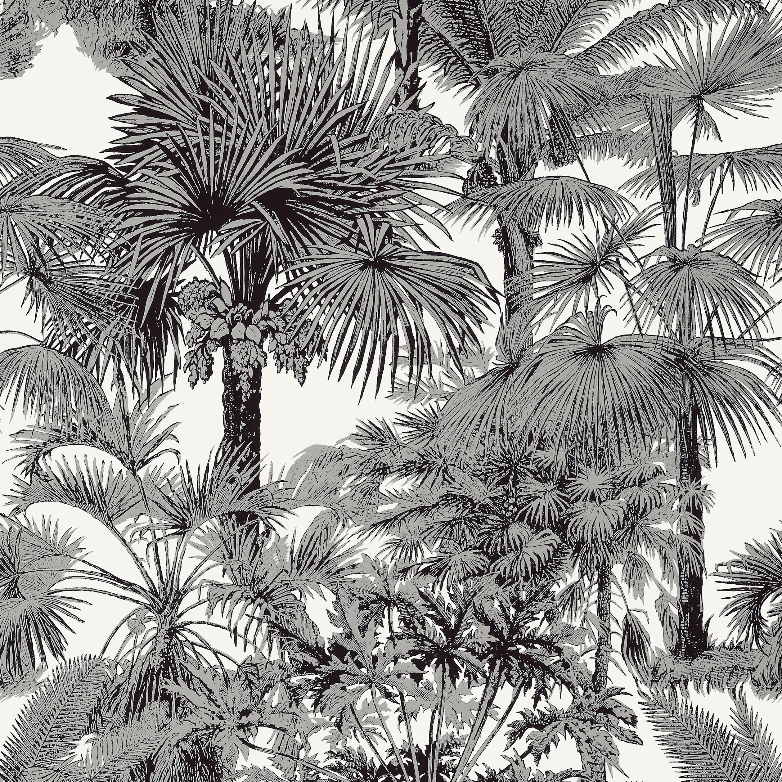 Palm Botanical fabric in black color - pattern number T10102 - by Thibaut in the Tropics collection