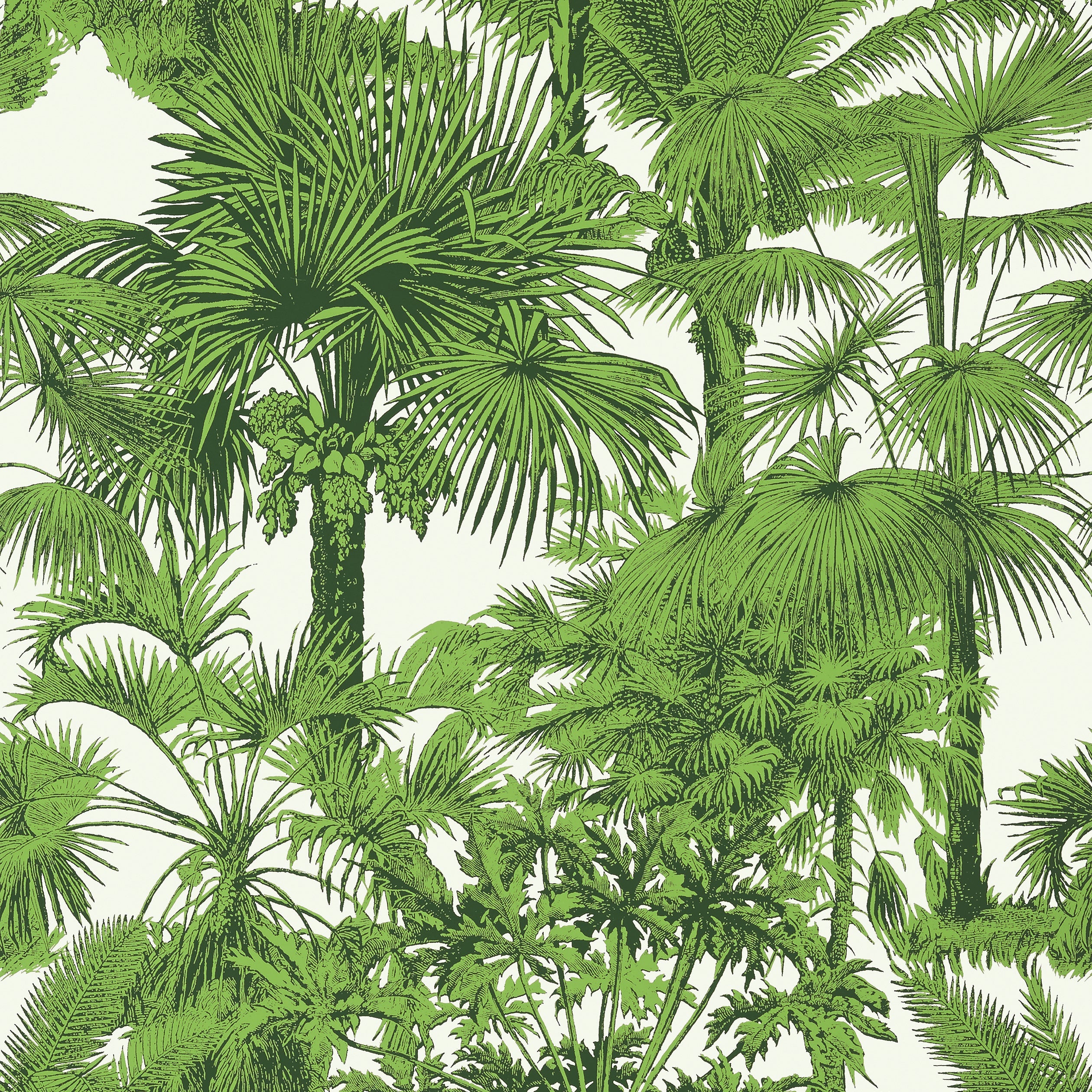Palm Botanical fabric in emerald green color - pattern number T10103 - by Thibaut in the Tropics collection