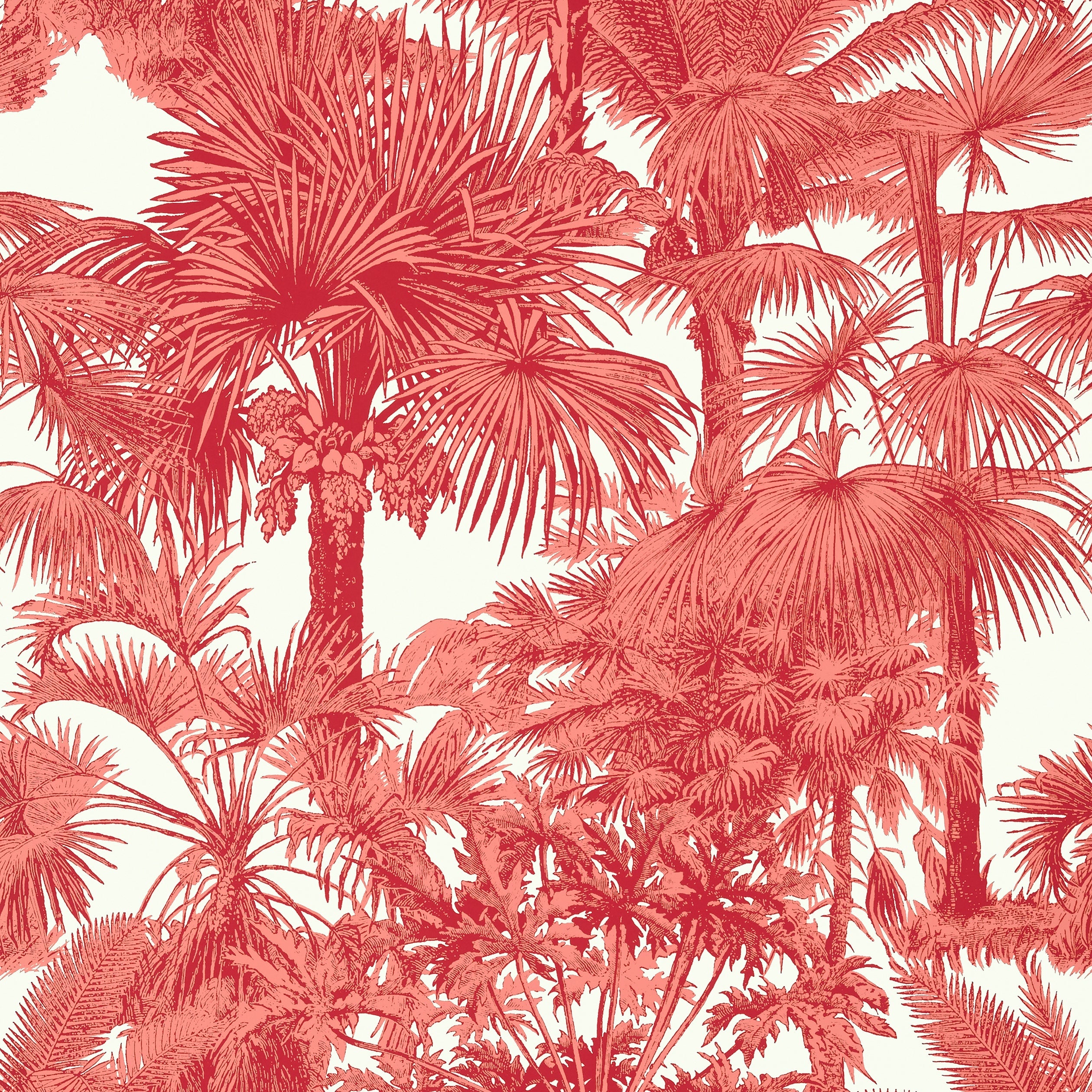 Palm Botanical fabric in coral color - pattern number T10105 - by Thibaut in the Tropics collection