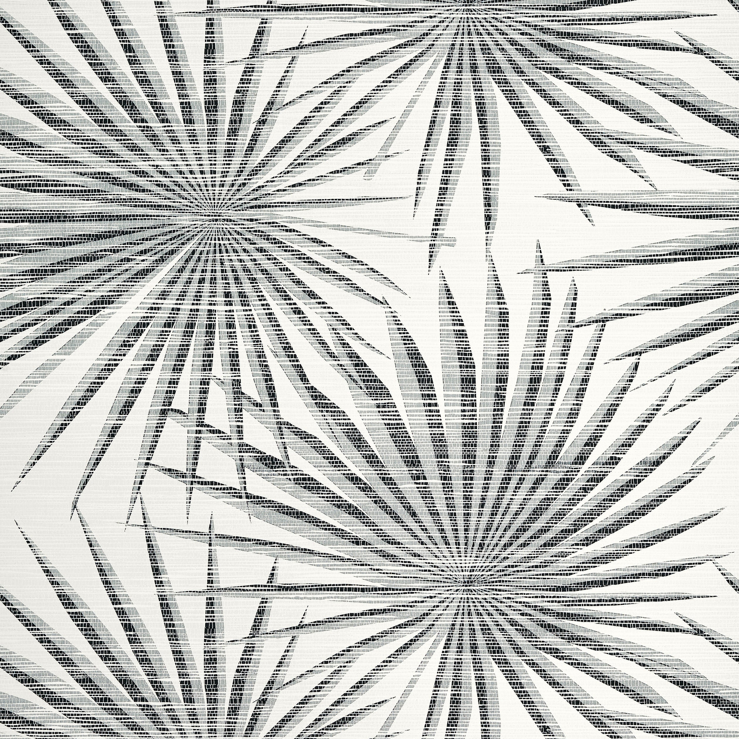 Palm Frond fabric in black and white color - pattern number T10145 - by Thibaut in the Tropics collection