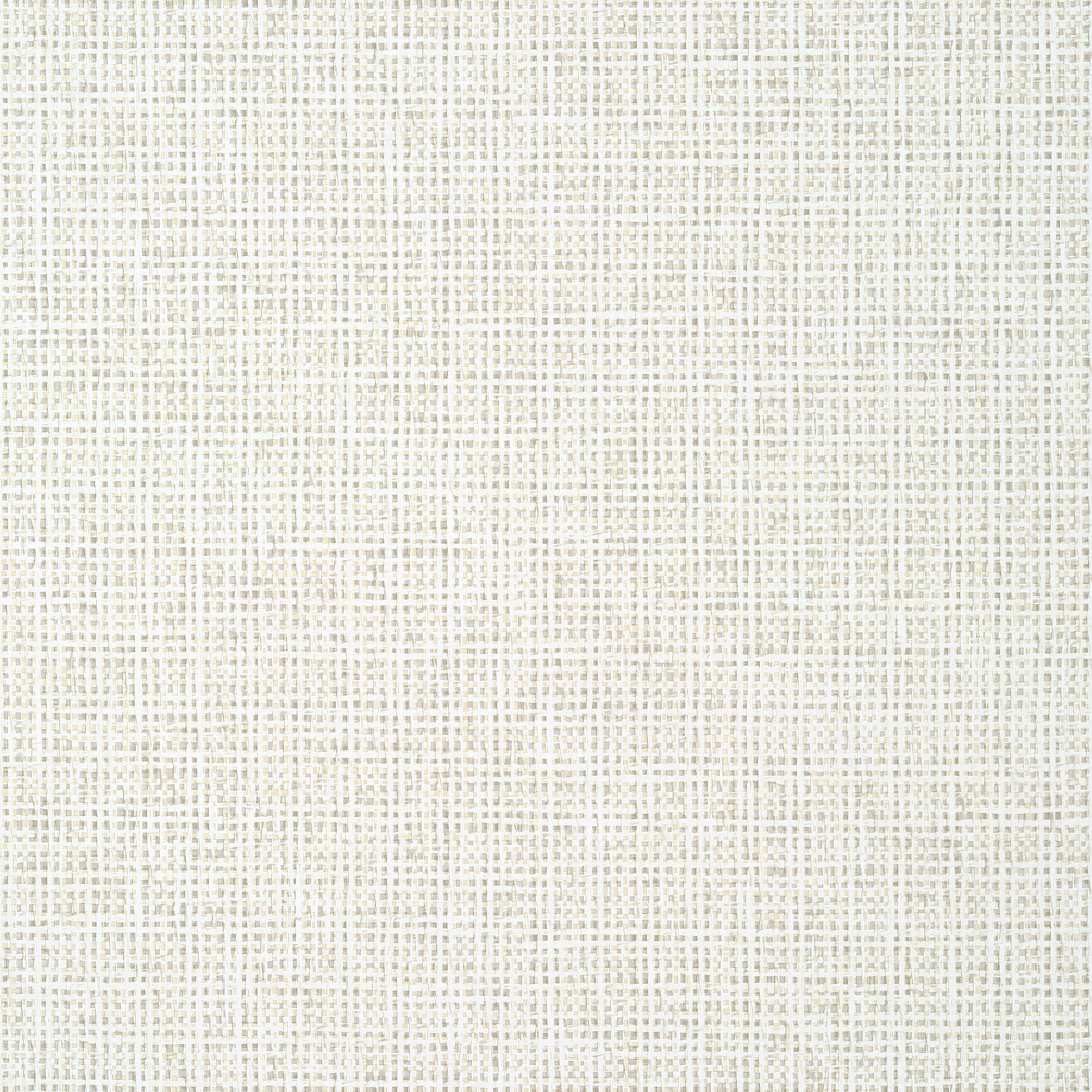 Pinellas wallpaper in beige color - pattern number T10150 - by Thibaut in the Tropics collection