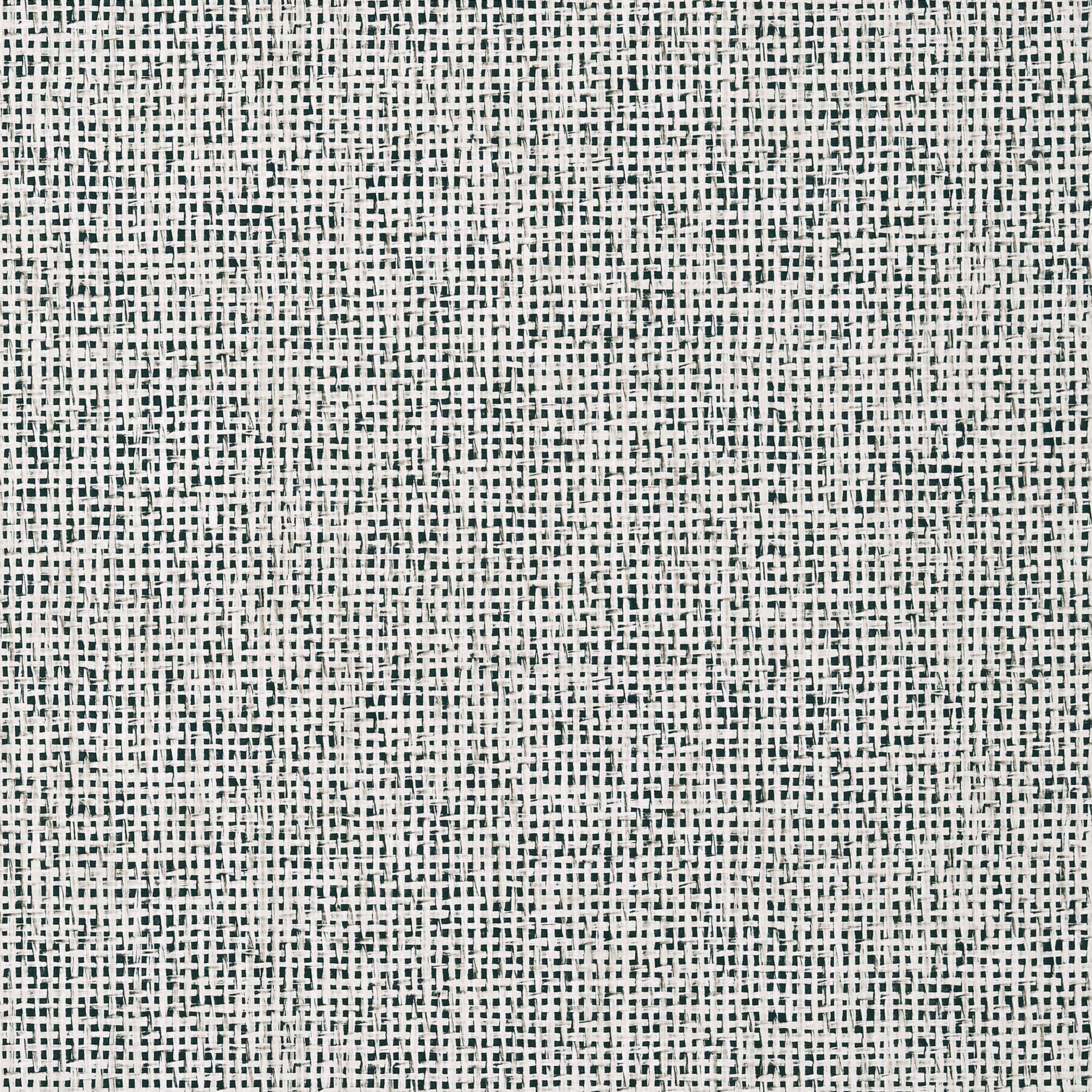 Pinellas wallpaper in black color - pattern number T10152 - by Thibaut in the Tropics collection
