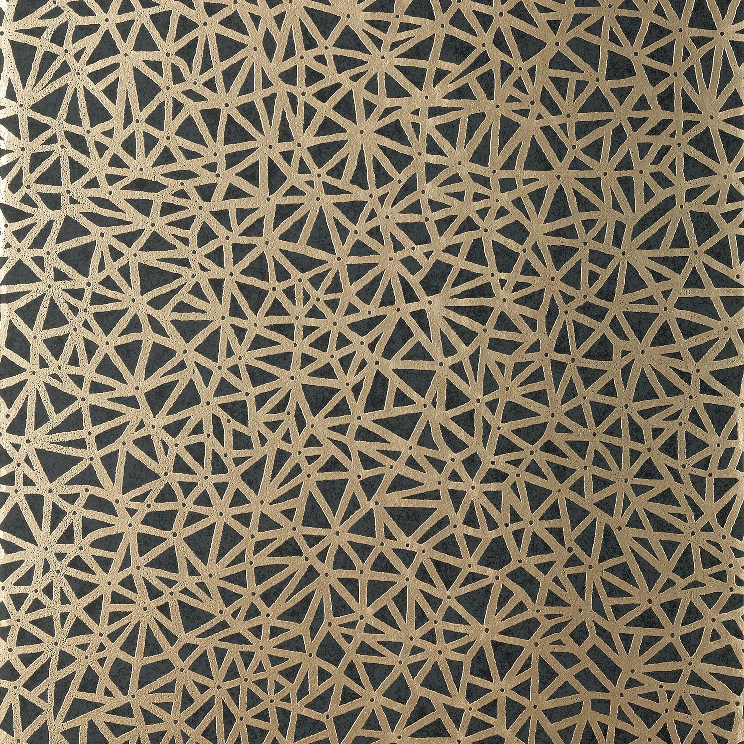 Aedan wallpaper in black color - pattern number T10408 - by Thibaut in the Modern Resource Volume 2 collection
