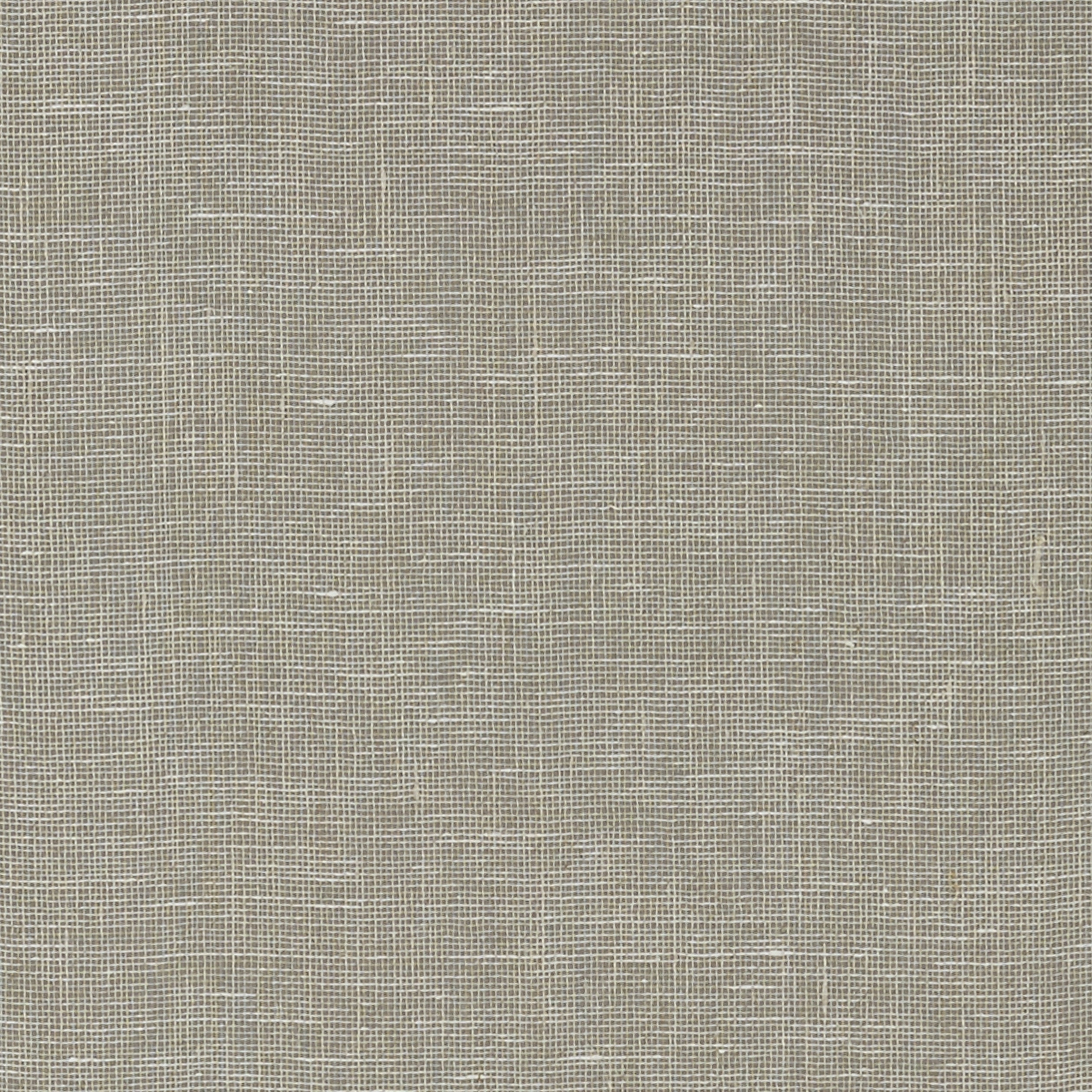 Villa Garden Texture wallpaper in charcoal color - pattern number T10853 - by Thibaut in the Heritage by Thibaut collection