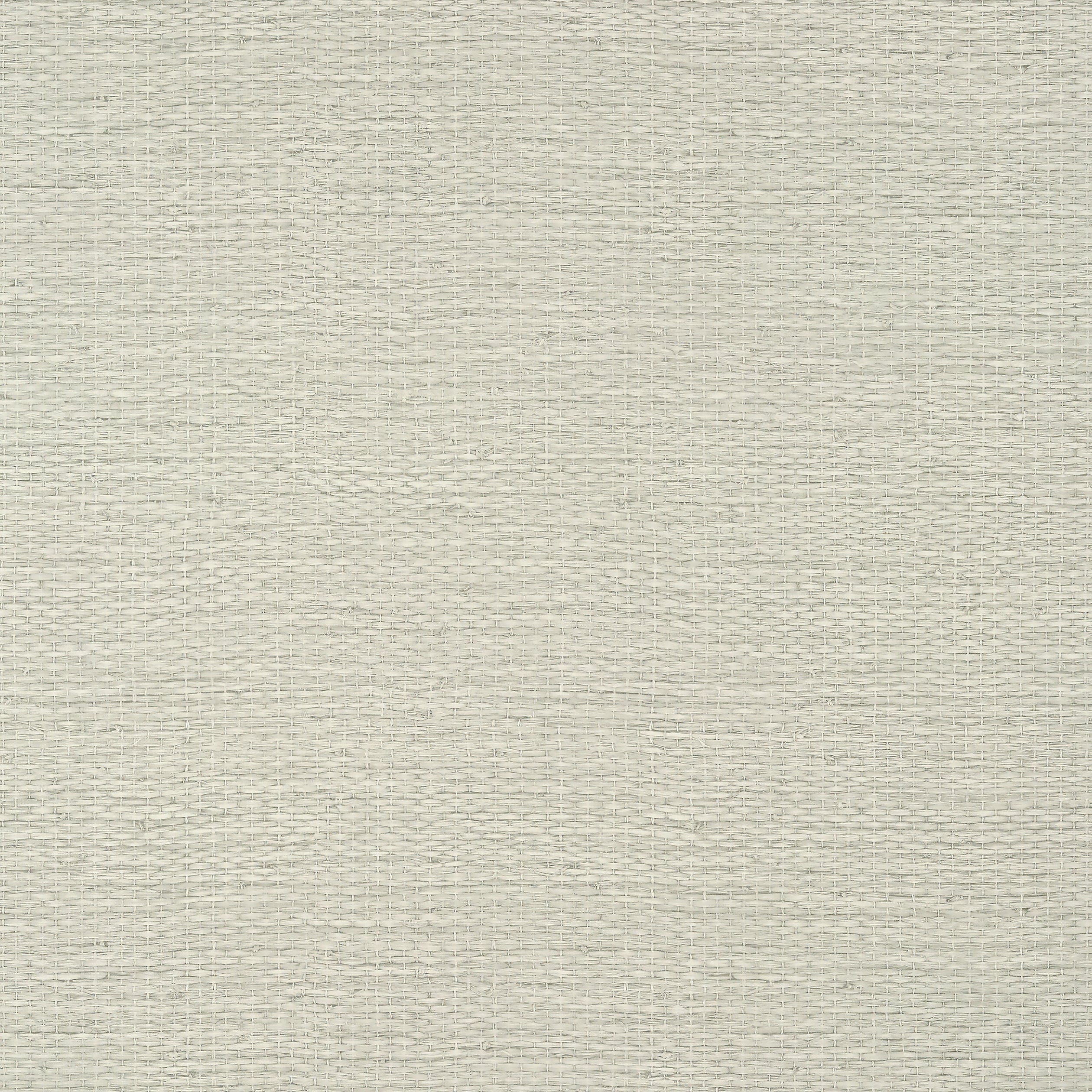 Prairie Weave wallpaper in flax color - pattern number T10932 - by Thibaut in the Texture Resource Volume 7 collection