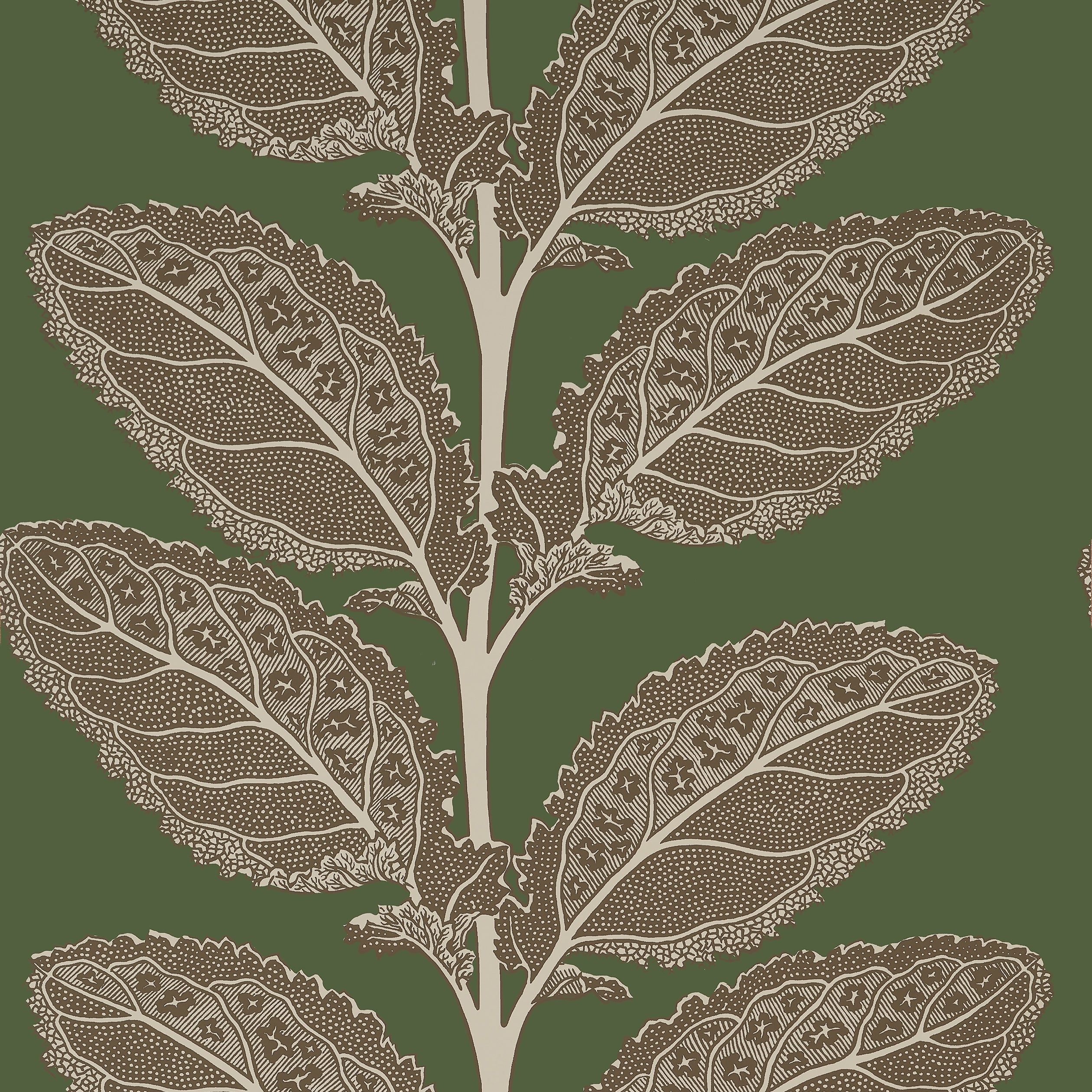 Lacinato wallpaper in wild sage color - pattern number T12040 - by Thibaut in the Vista collection