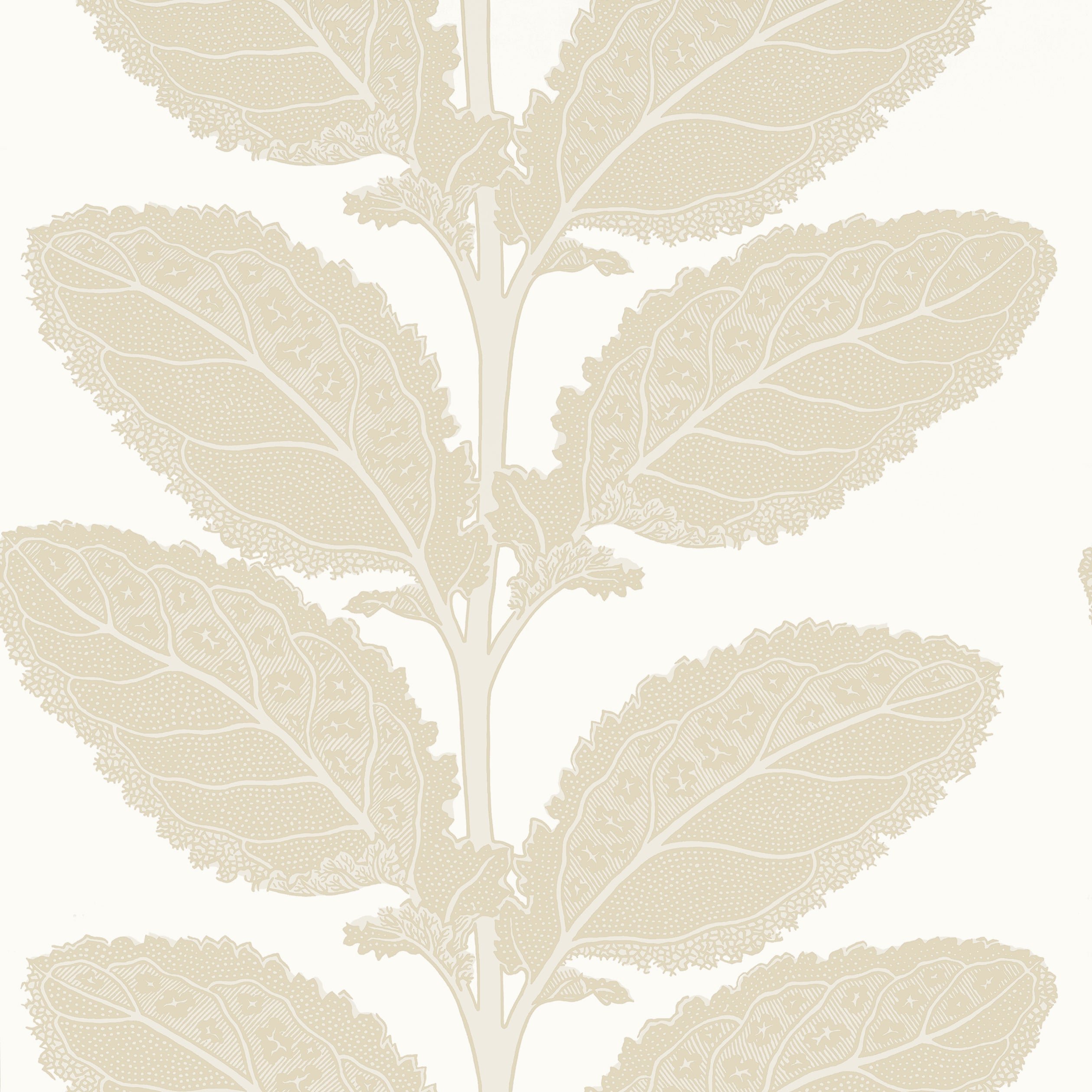 Lacinato wallpaper in birch color - pattern number T12041 - by Thibaut in the Vista collection