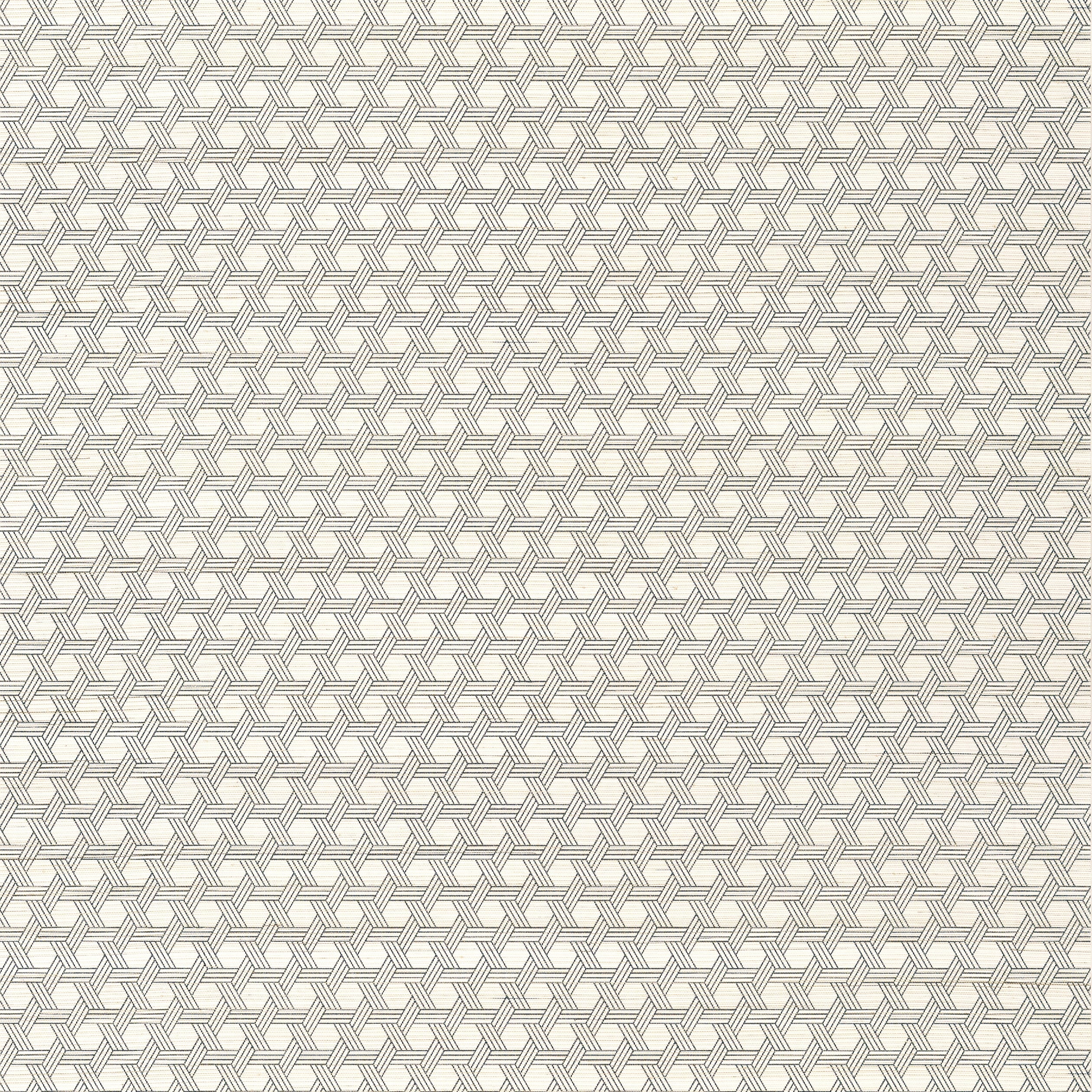 Pergola wallpaper in black color - pattern number T12807 - by Thibaut in the Modern Resource Volume 3 collection