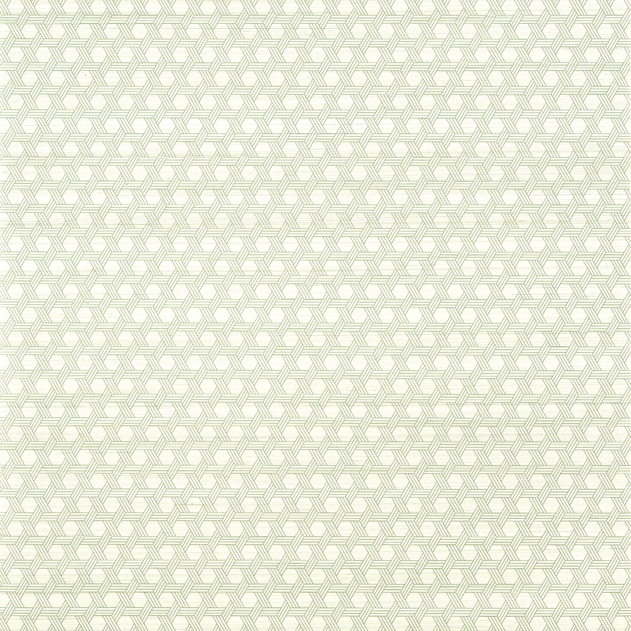 Pergola wallpaper in green color - pattern number T12809 - by Thibaut in the Modern Resource Volume 3 collection