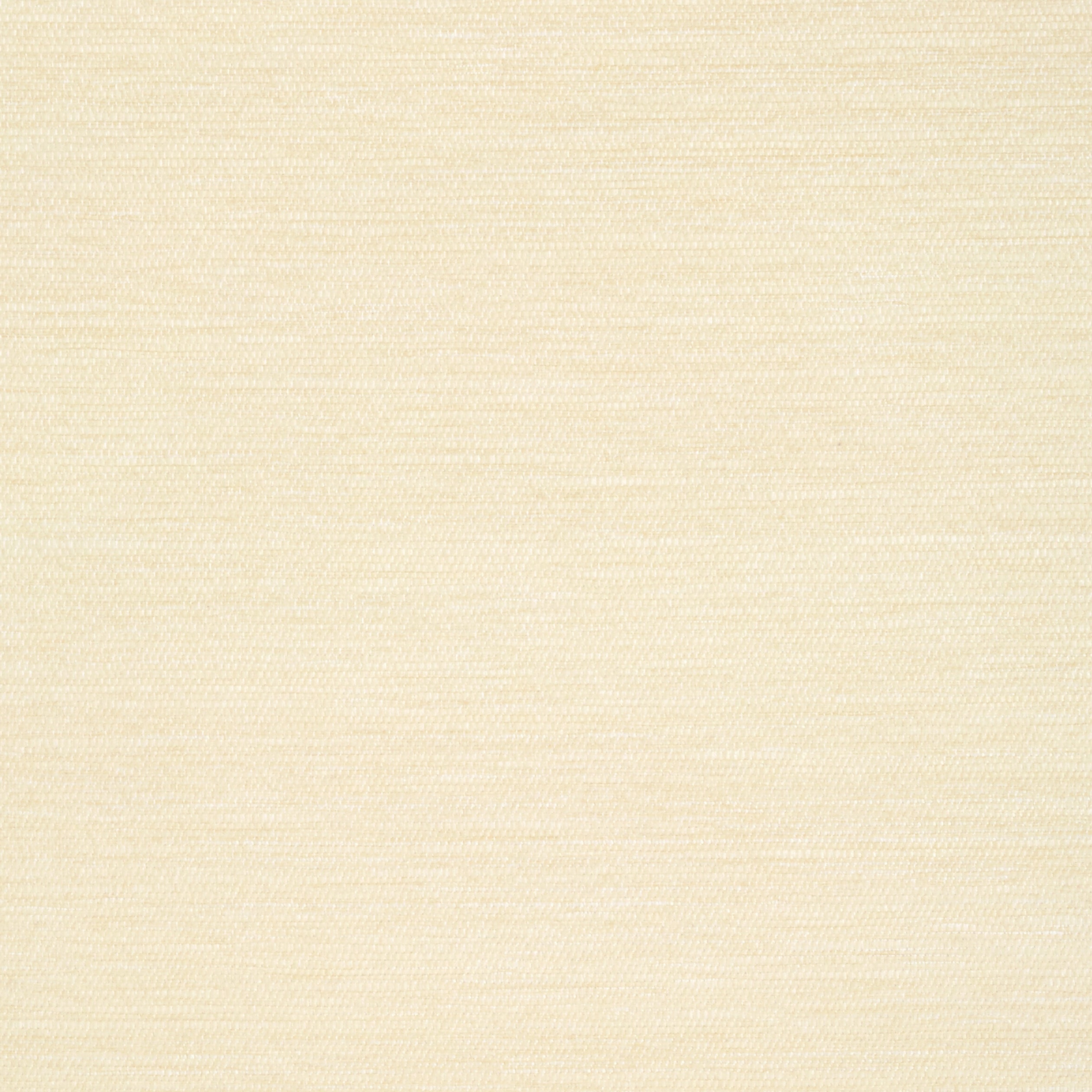 Surfrider wallpaper in cream color - pattern number T13111 - by Thibaut in the Summer House collection