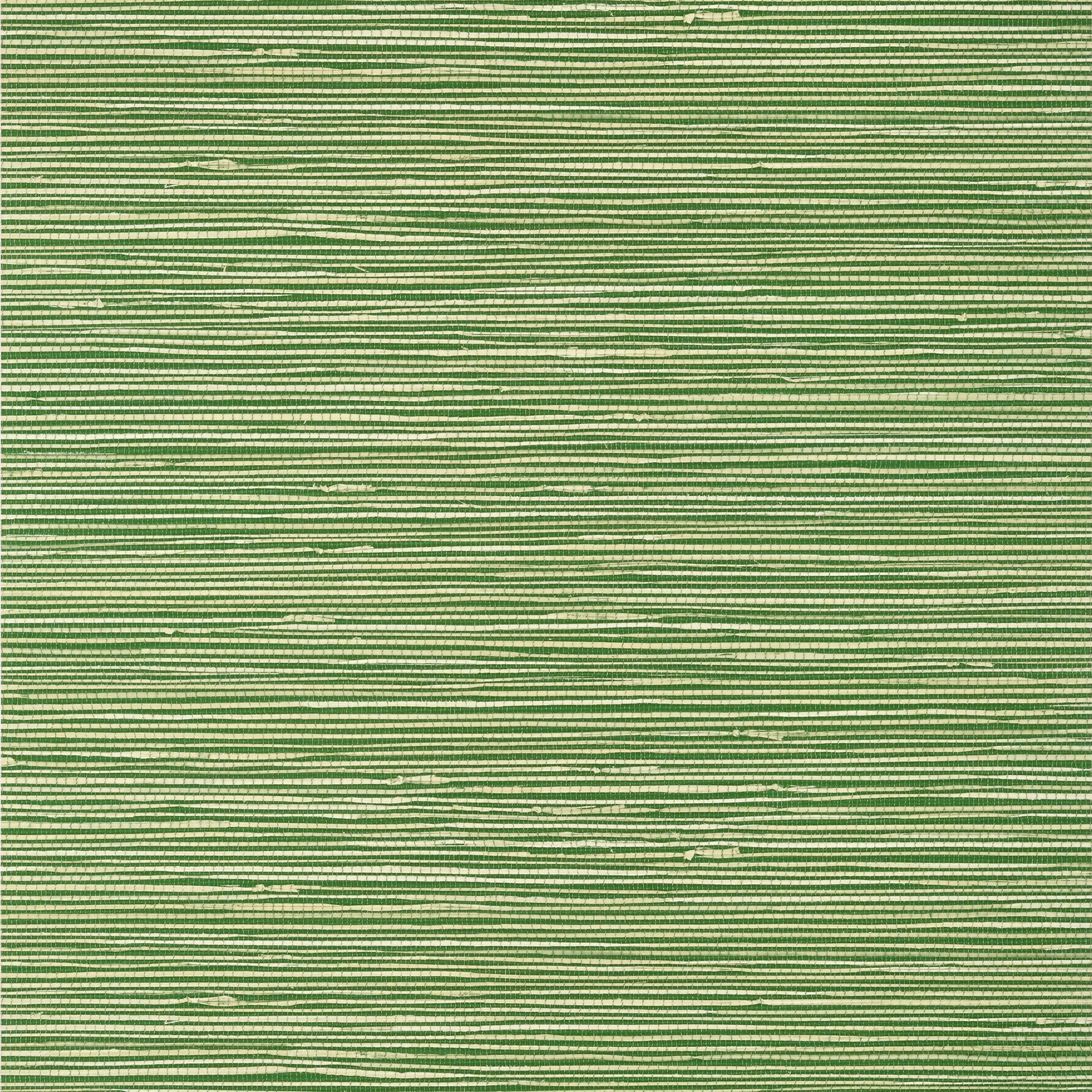 St Thomas wallpaper in emerald color - pattern number T13340 - by Thibaut in the Pavilion collection