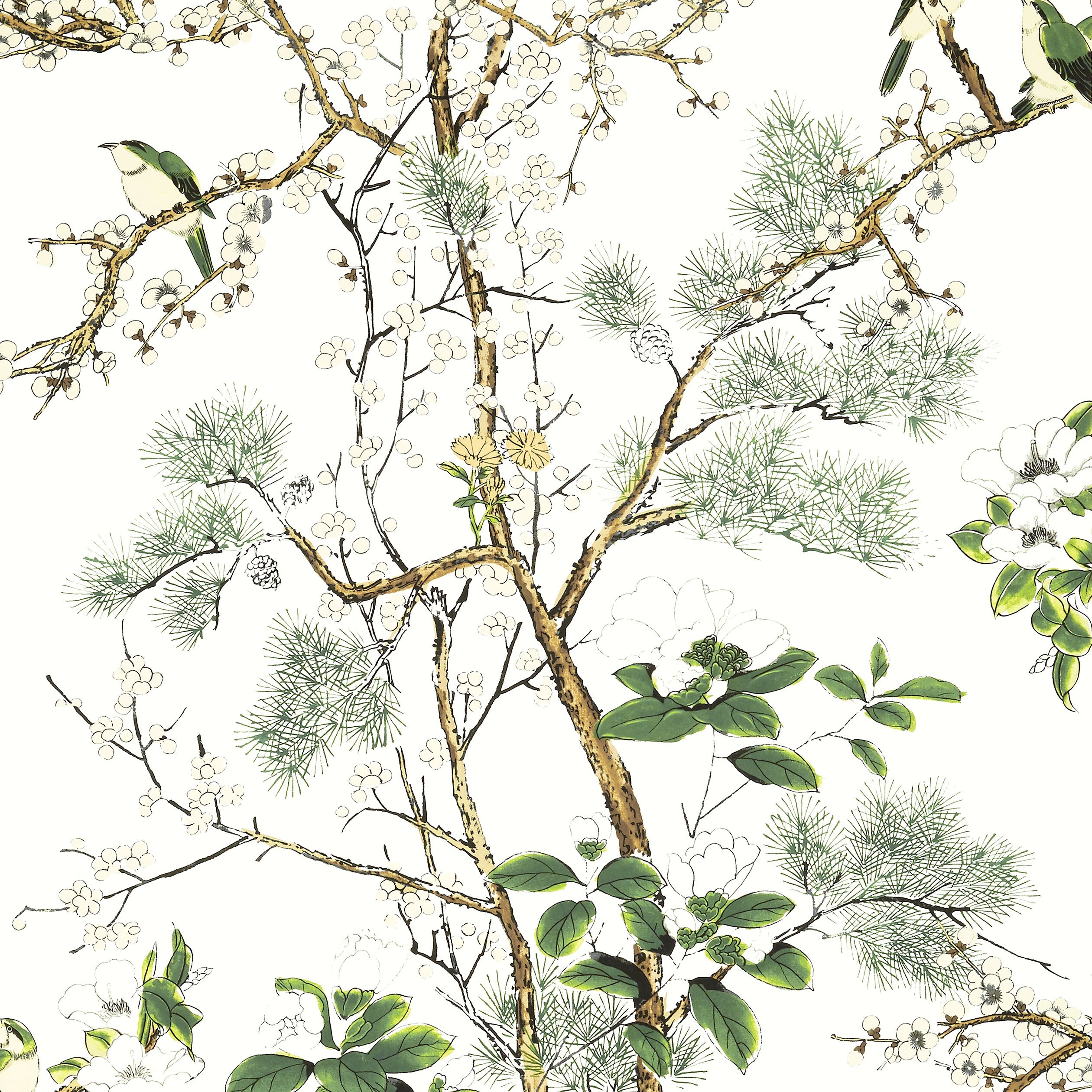 Katsura fabric in green and white color - pattern number T13621 - by Thibaut in the Grand Palace collection