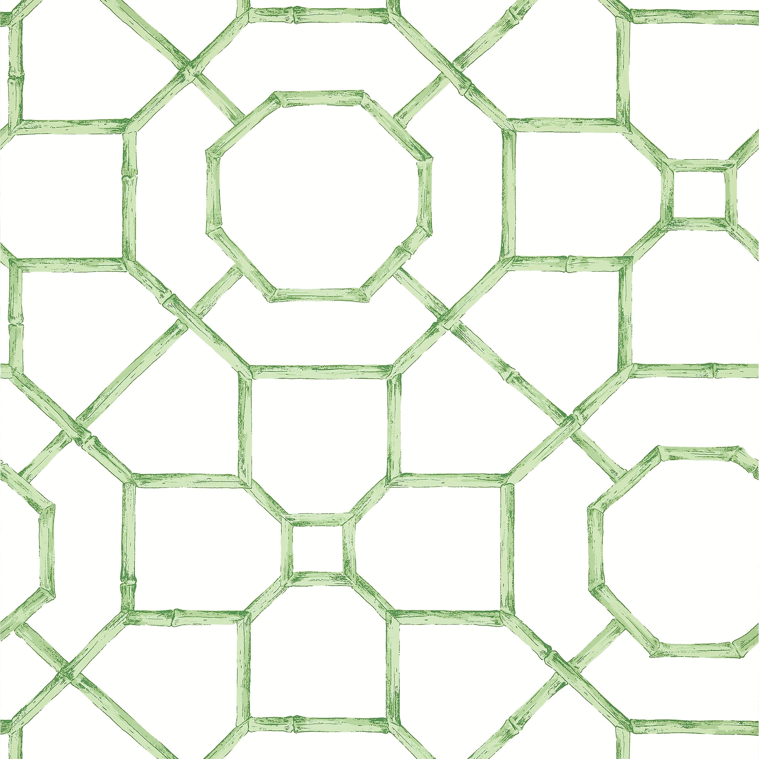 Arbor wallpaper in green color - pattern number T13674 - by Thibaut in the Grand Palace collection