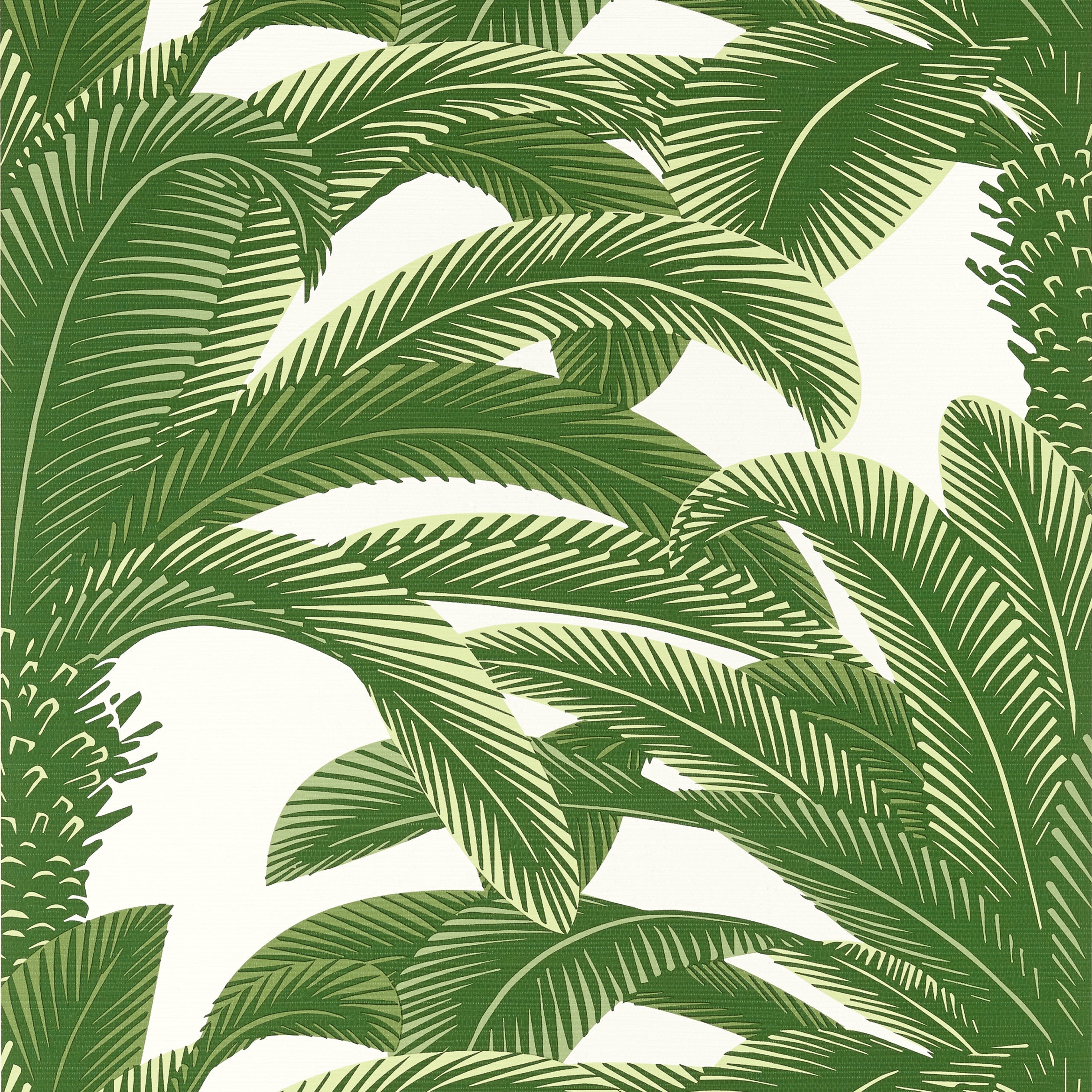 Queen Palm fabric in green color - pattern number T13907 - by Thibaut in the Palm Grove collection