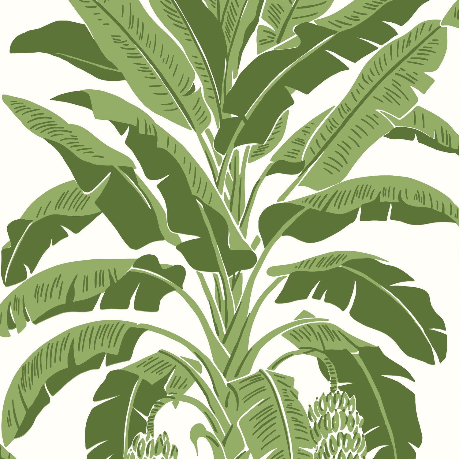 Banana Tree fabric in green color - pattern number T13914 - by Thibaut in the Palm Grove collection