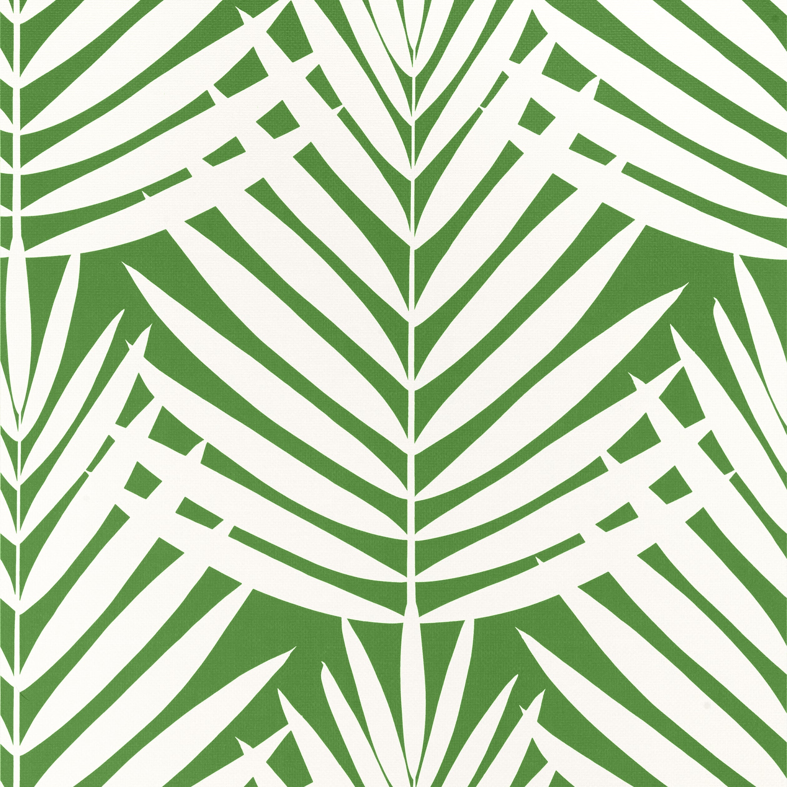 Croatia wallpaper in green color - pattern number T13933 - by Thibaut in the Palm Grove collection
