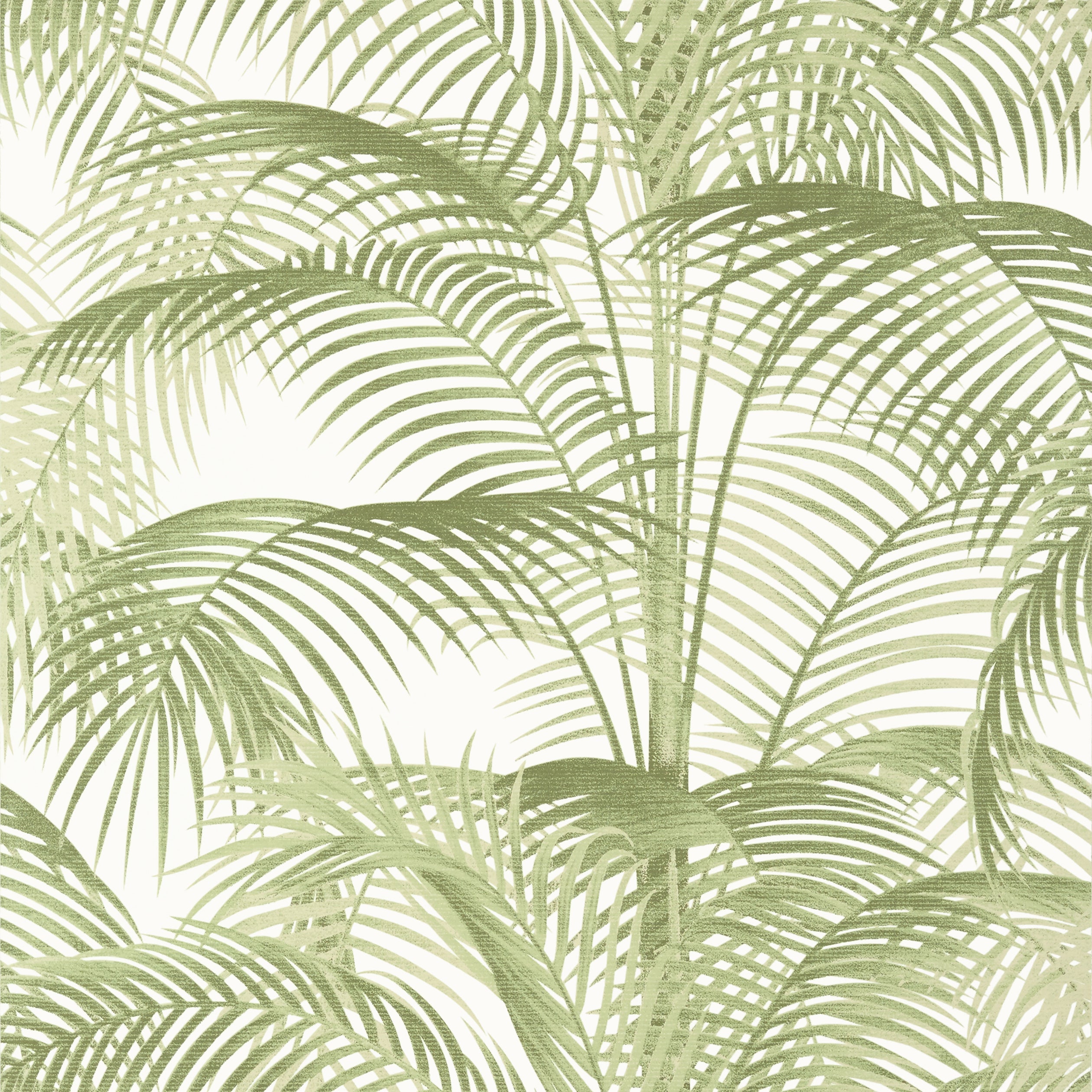 Delray fabric in sage color - pattern number T13939 - by Thibaut in the Palm Grove collection