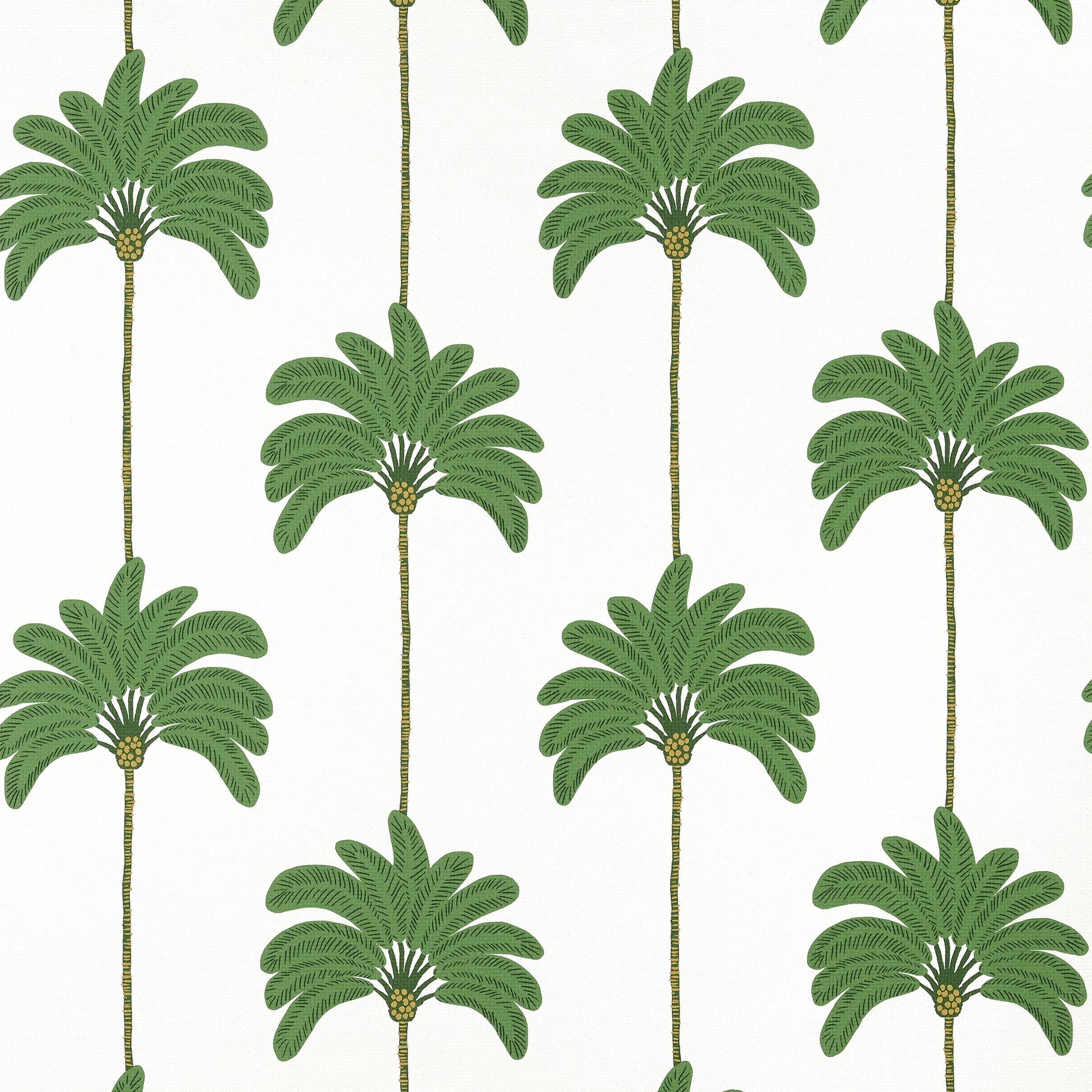 Sunset Boulevard wallpaper in green color - pattern number T13942 - by Thibaut in the Palm Grove collection