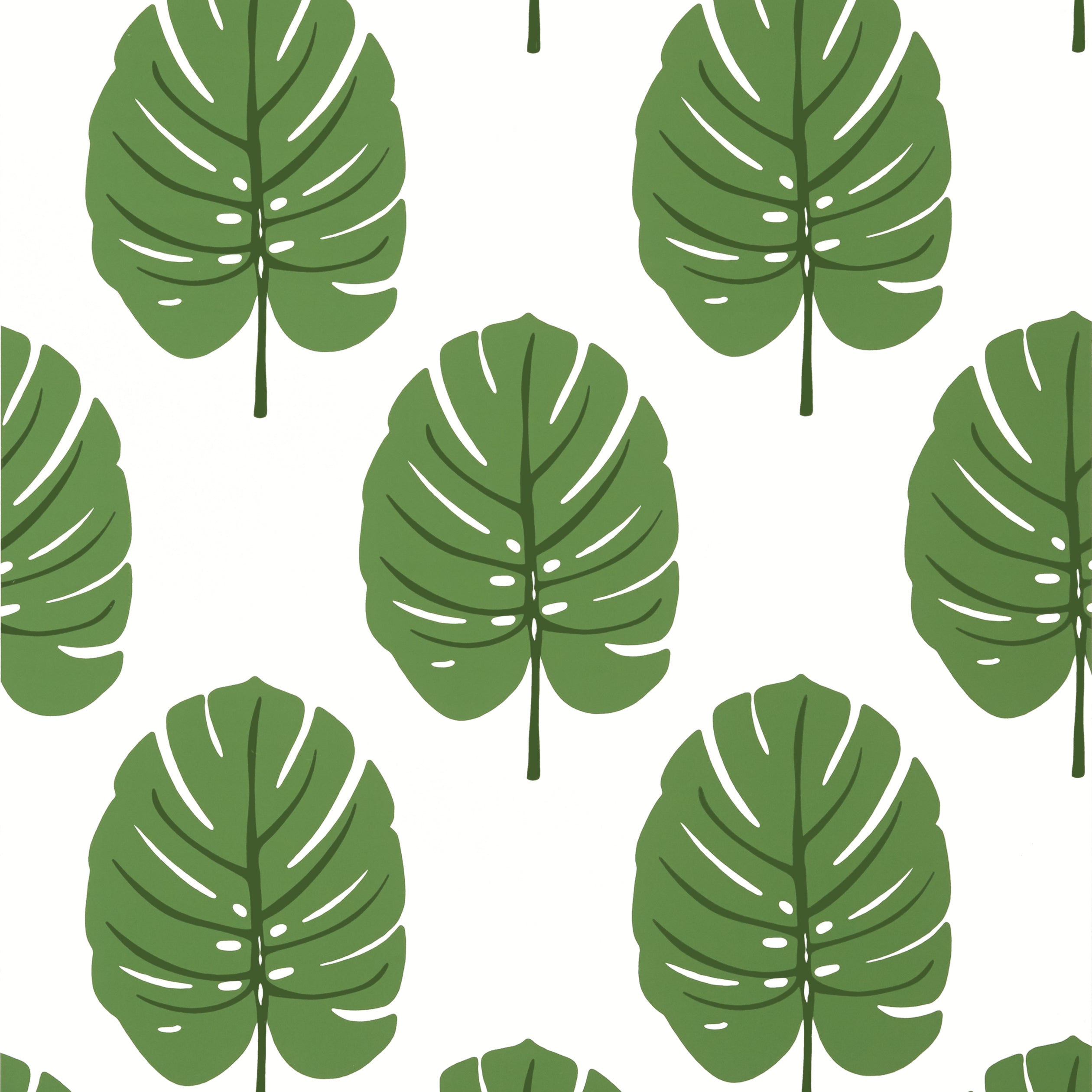 Monstera wallpaper in green color - pattern number T13952 - by Thibaut in the Palm Grove collection