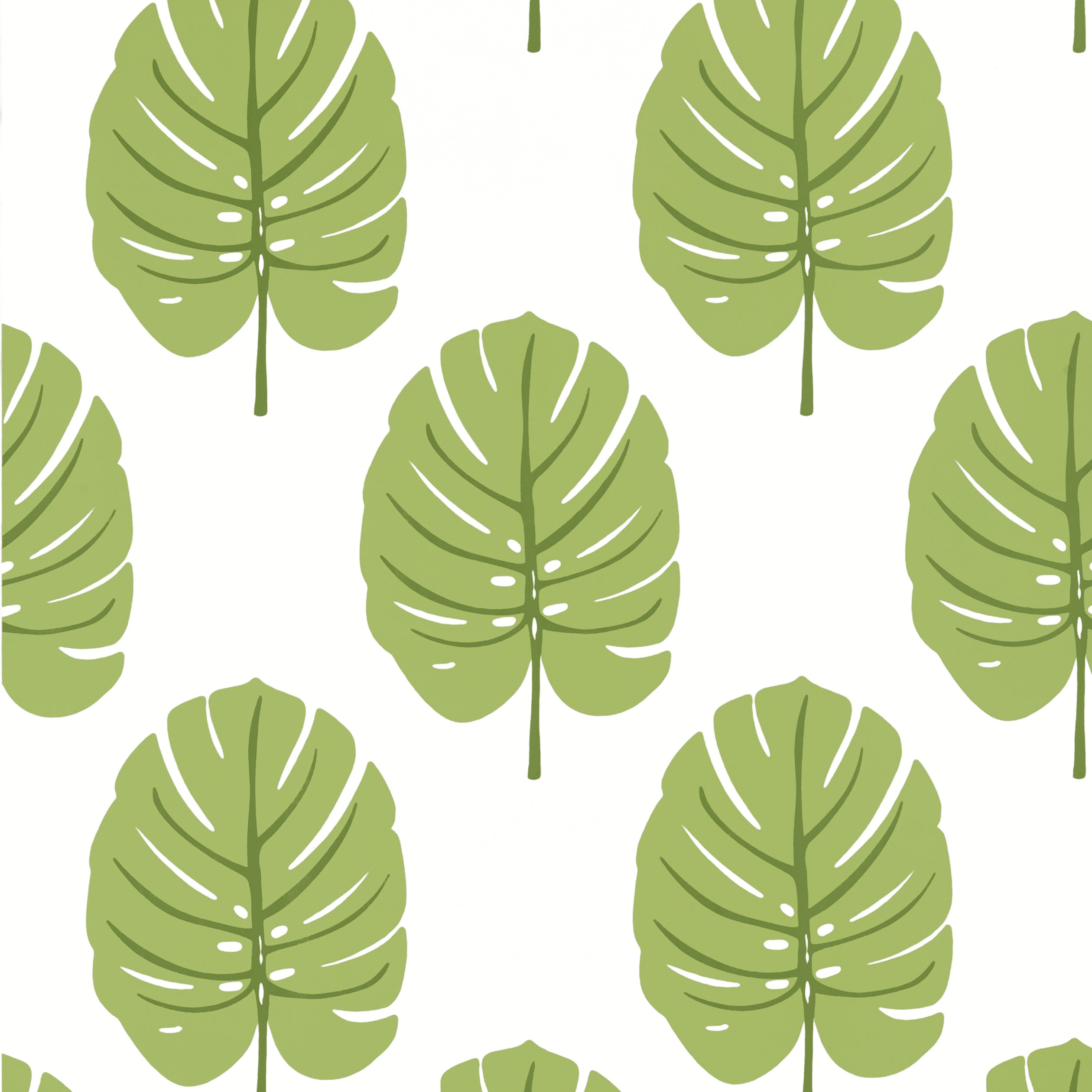 Monstera wallpaper in apple green color - pattern number T13955 - by Thibaut in the Palm Grove collection