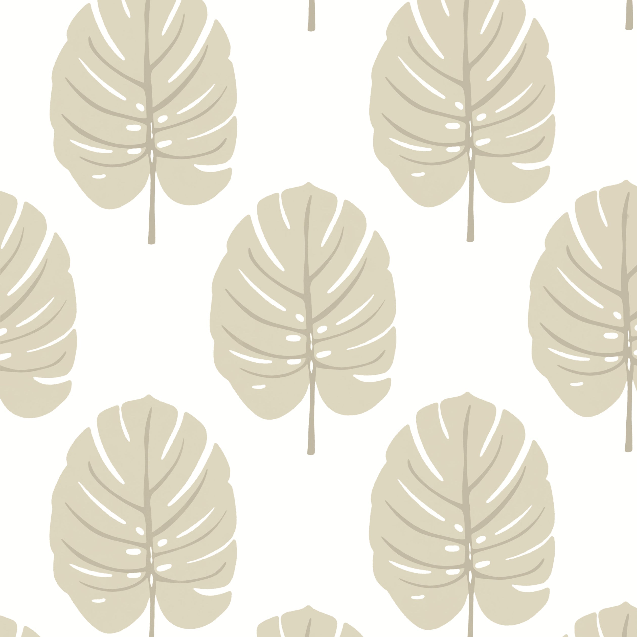 Monstera wallpaper in beige color - pattern number T13956 - by Thibaut in the Palm Grove collection