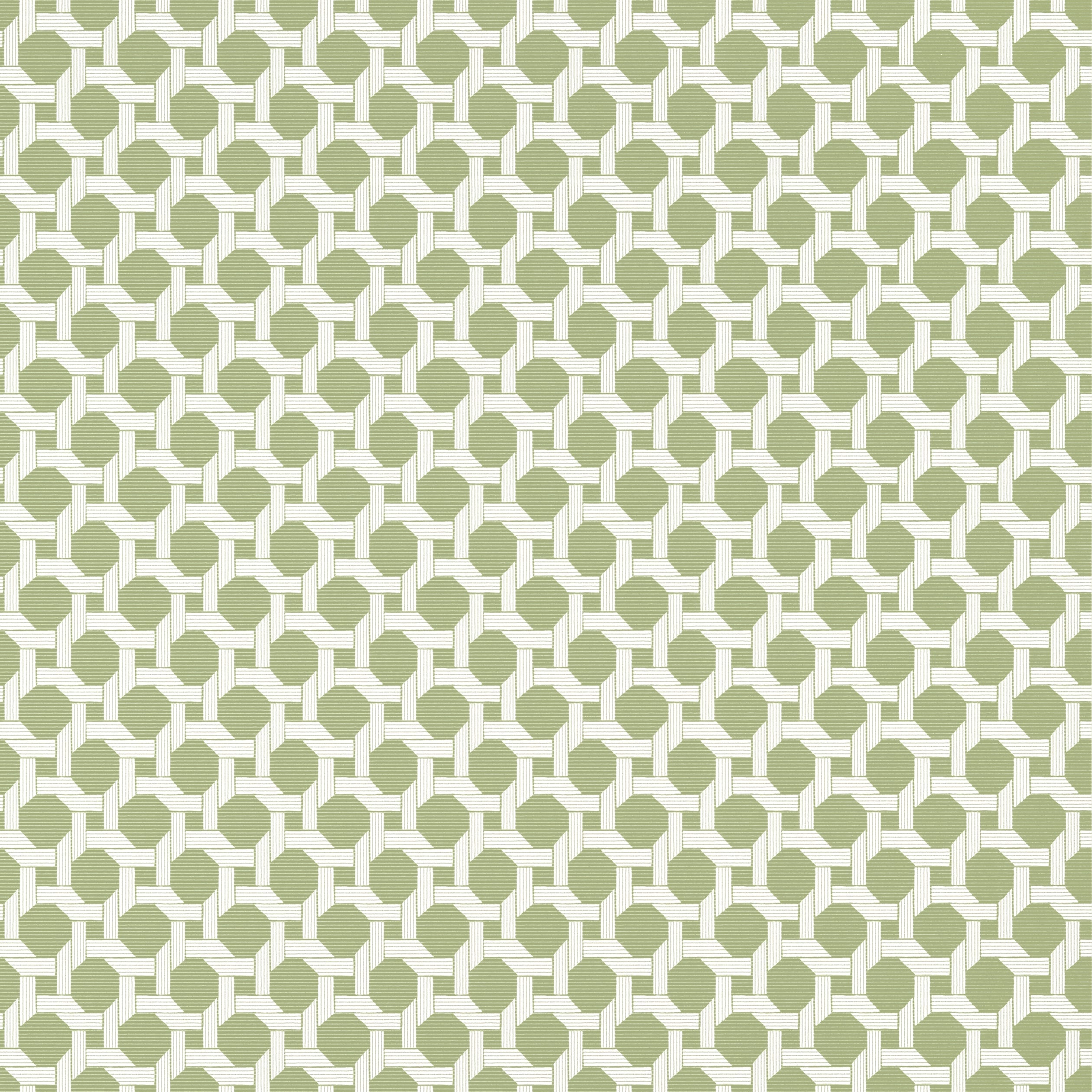 Charter wallpaper in sage color - pattern number T13959 - by Thibaut in the Palm Grove collection