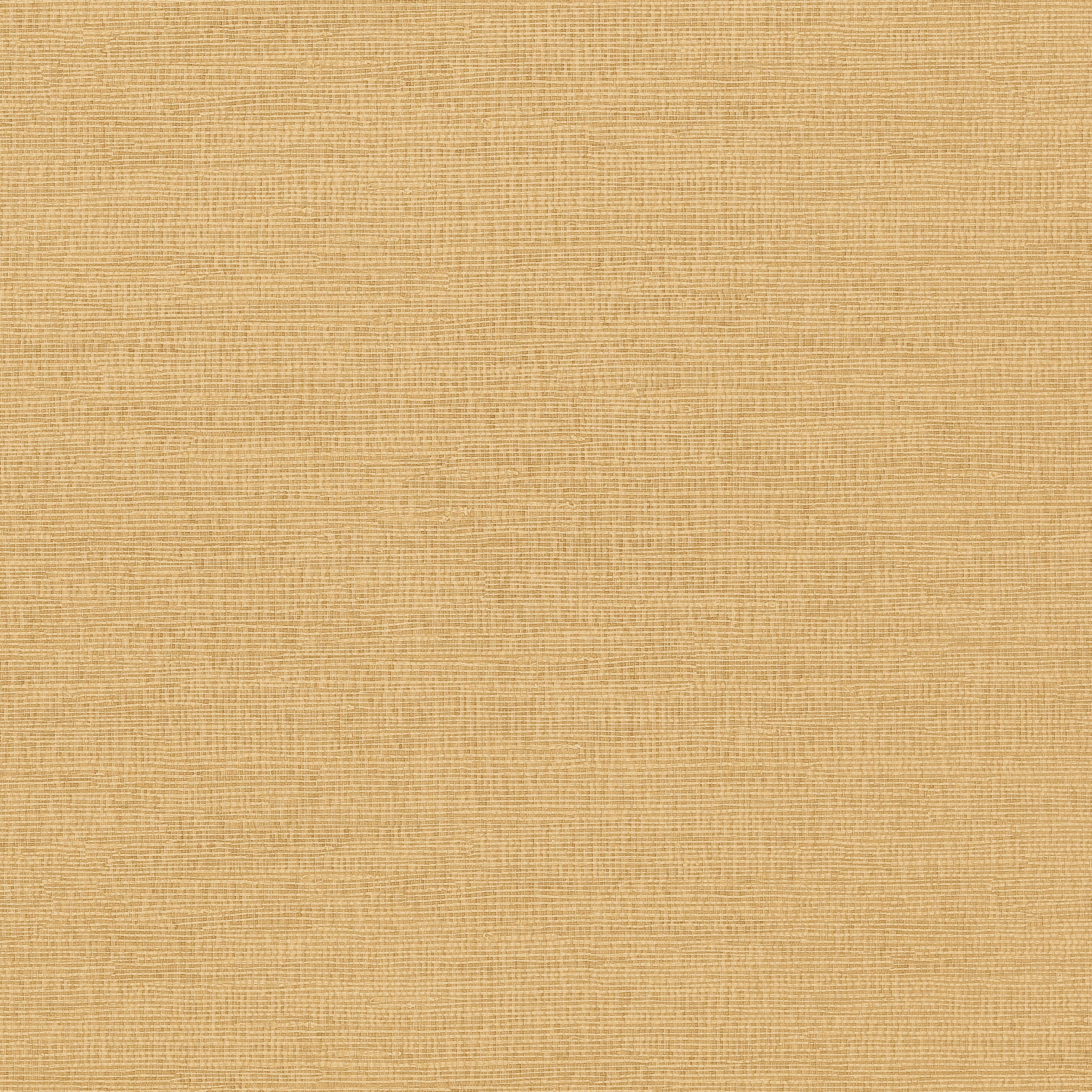 Coastal Sisal wallpaper in tobacco color - pattern number T14105 - by Thibaut in the Texture Resource Volume 4 collection