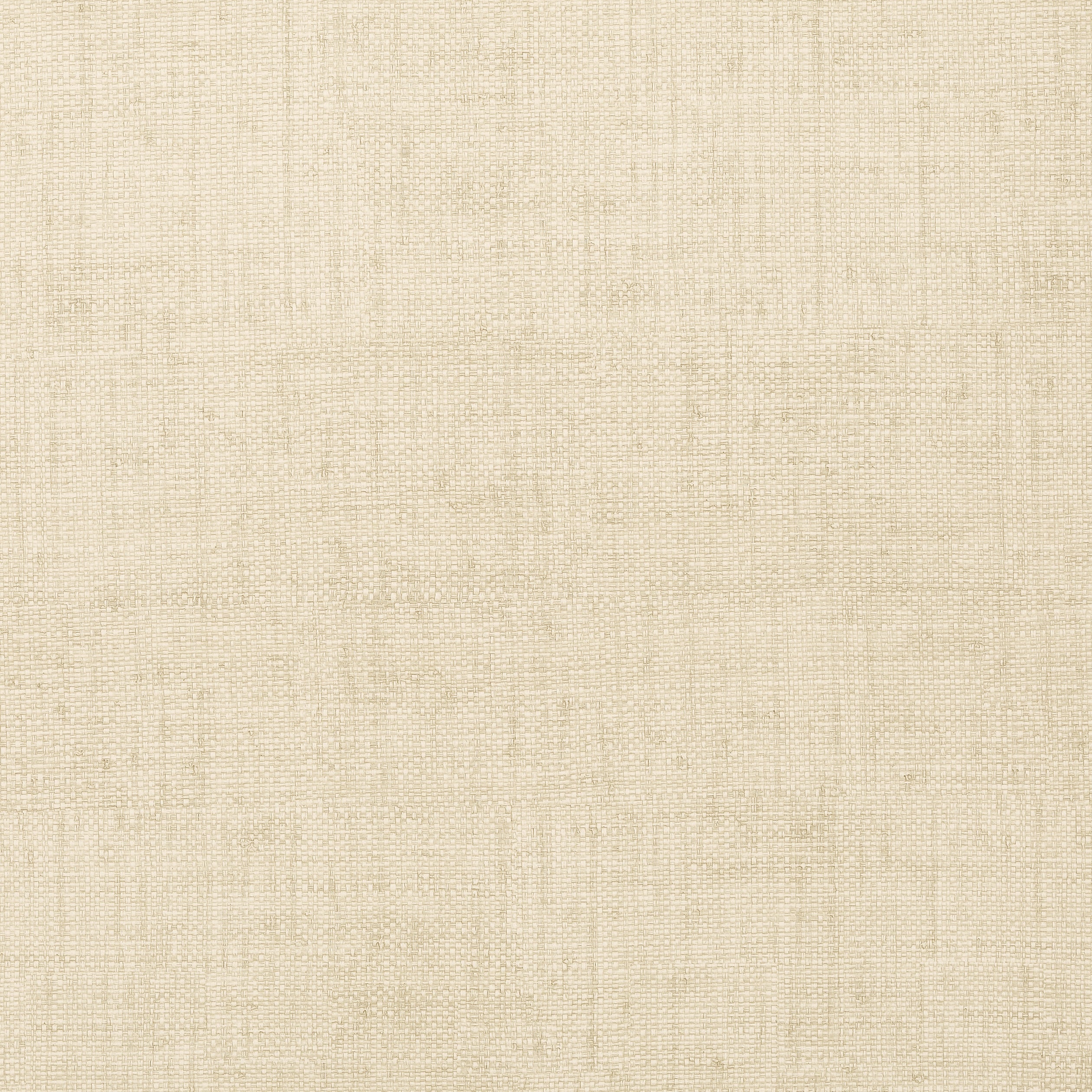 Bankun Raffia wallpaper in biscuit color - pattern number T14135 - by Thibaut in the Texture Resource Volume 8 collection
